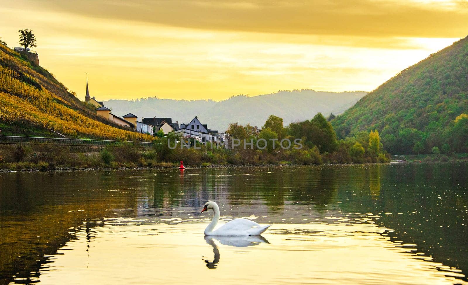 A Magical Germany pictures