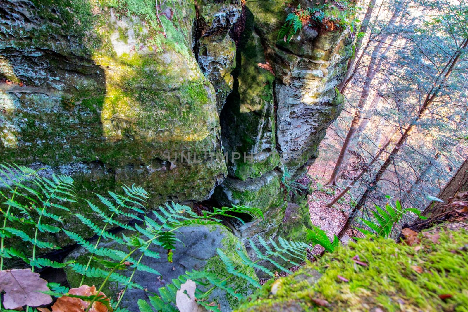 View of Cantwell Cliffs, Hocking Hills State Park, Ohio