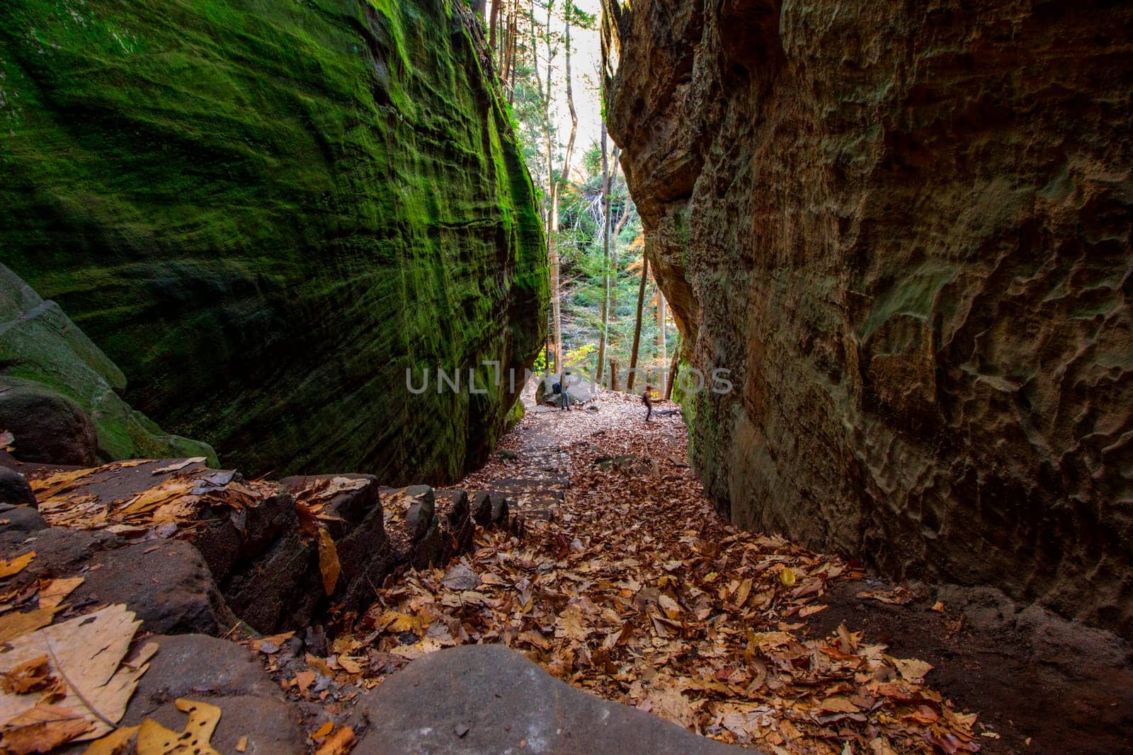 View of Cantwell Cliffs, Hocking Hills State Park, Ohio