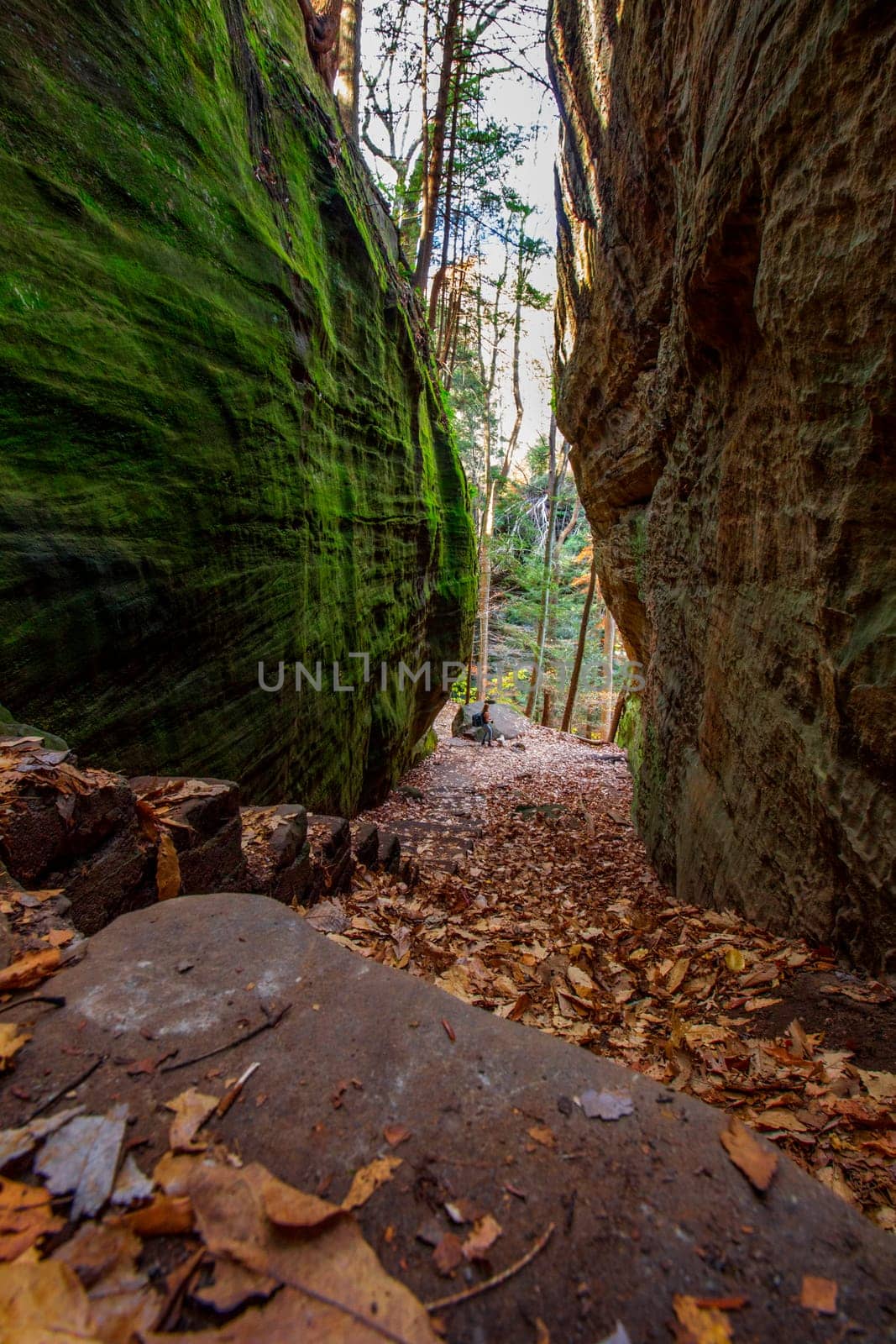 View of Cantwell Cliffs, Hocking Hills State Park, Ohio