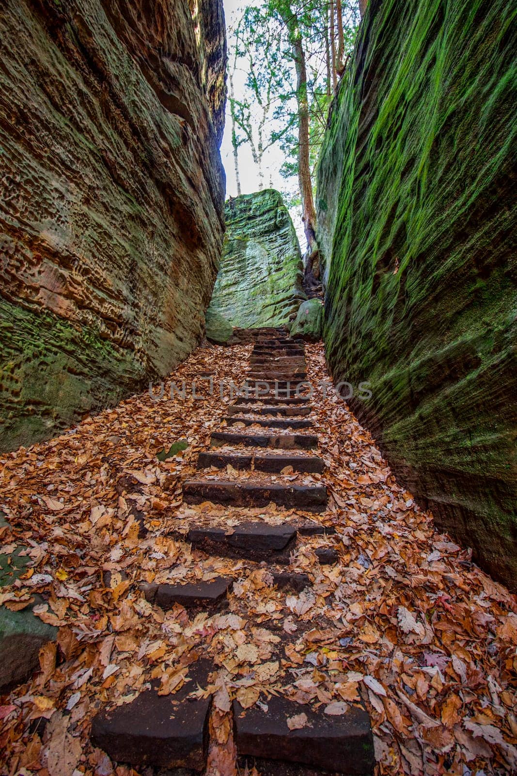 View of Cantwell Cliffs, Hocking Hills State Park, Ohio