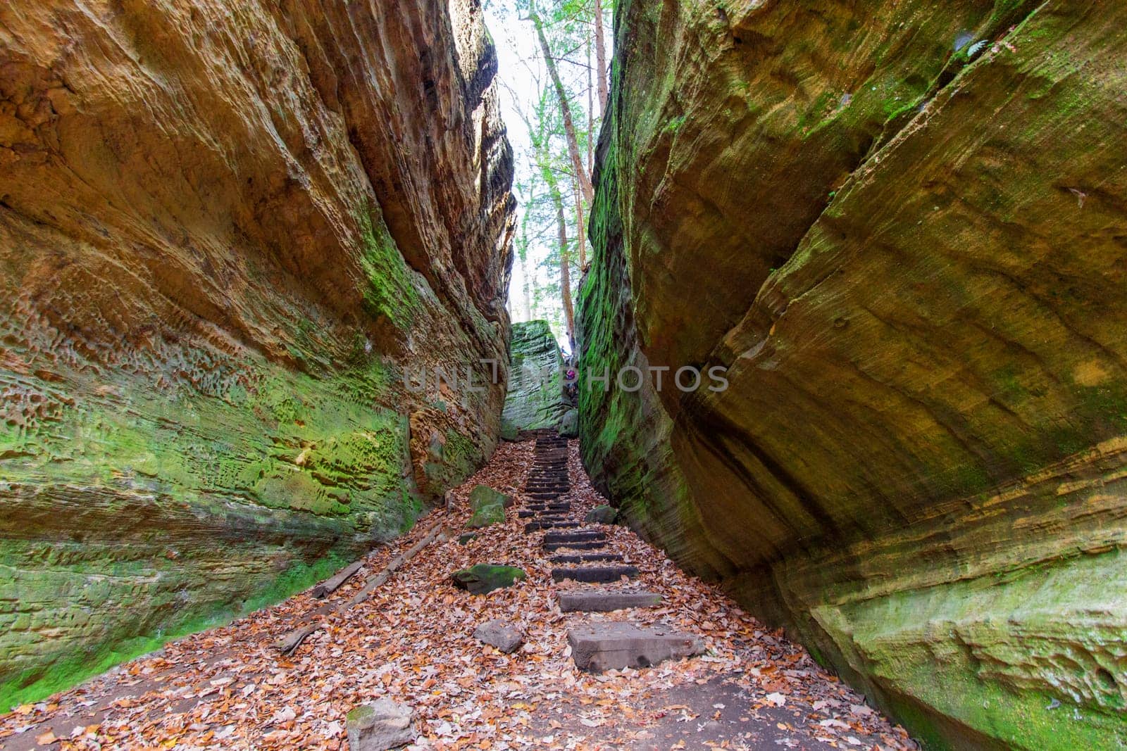 View of Cantwell Cliffs, Hocking Hills State Park, Ohio