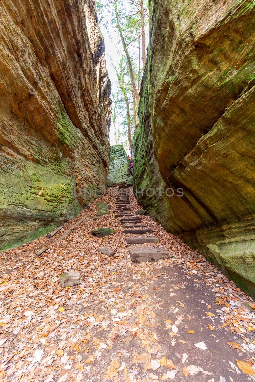 View of Cantwell Cliffs, Hocking Hills State Park, Ohio