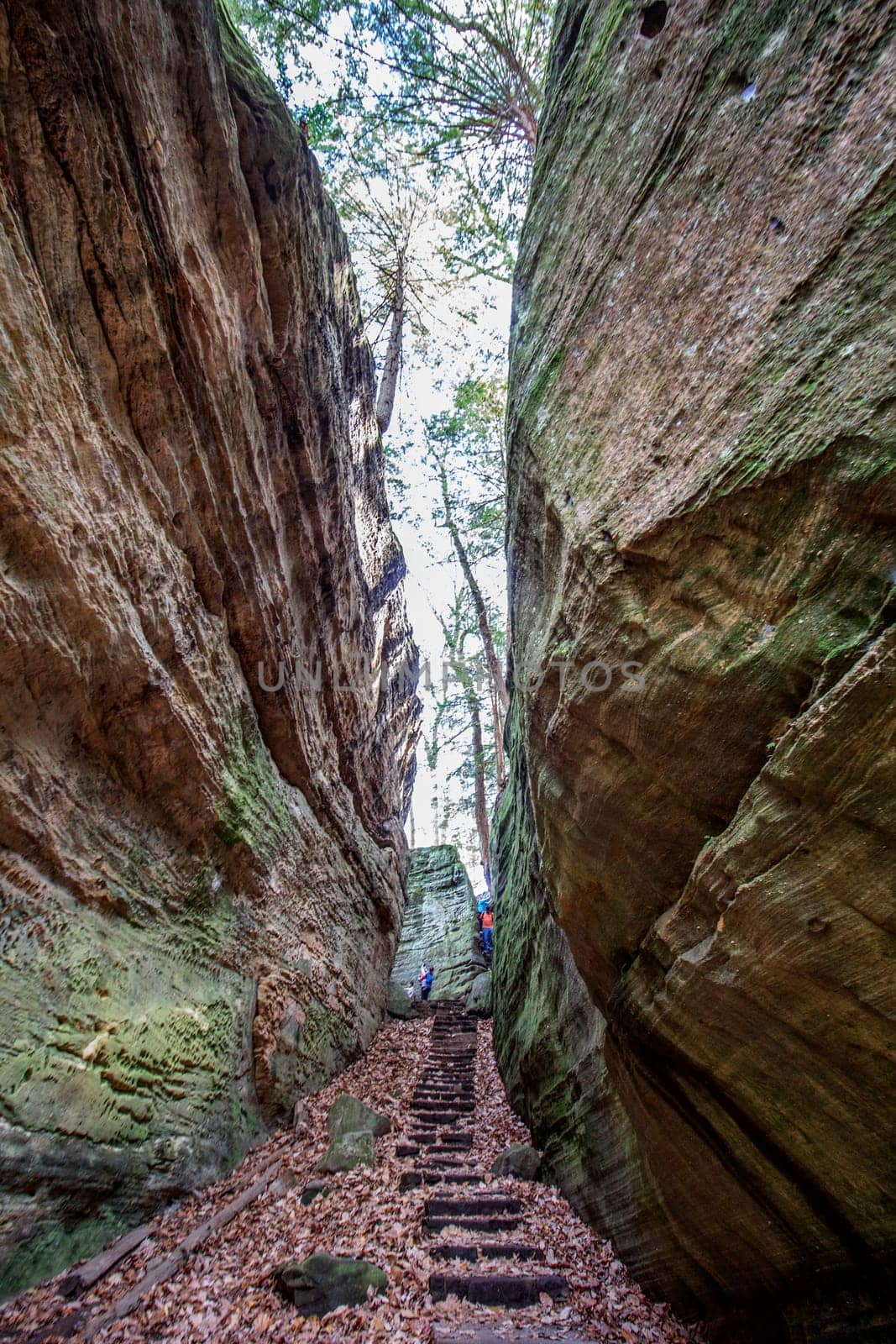 View of Cantwell Cliffs, Hocking Hills State Park, Ohio