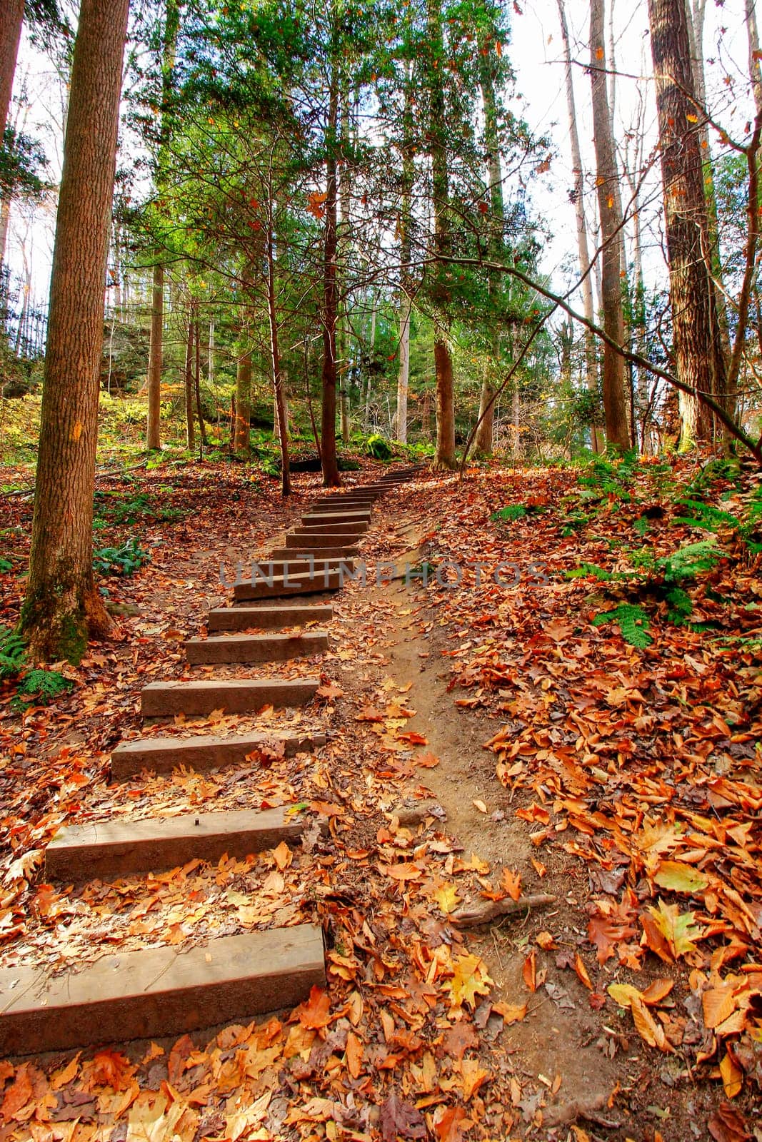 View of Cantwell Cliffs, Hocking Hills State Park, Ohio