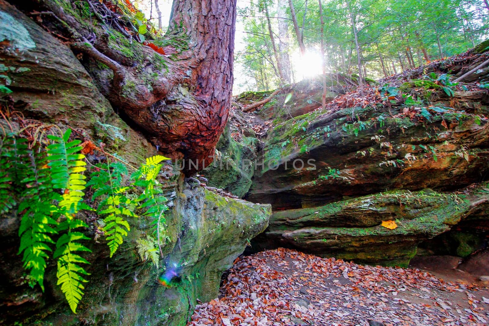 View of Rockhouse, Hocking Hills State Park, Ohio