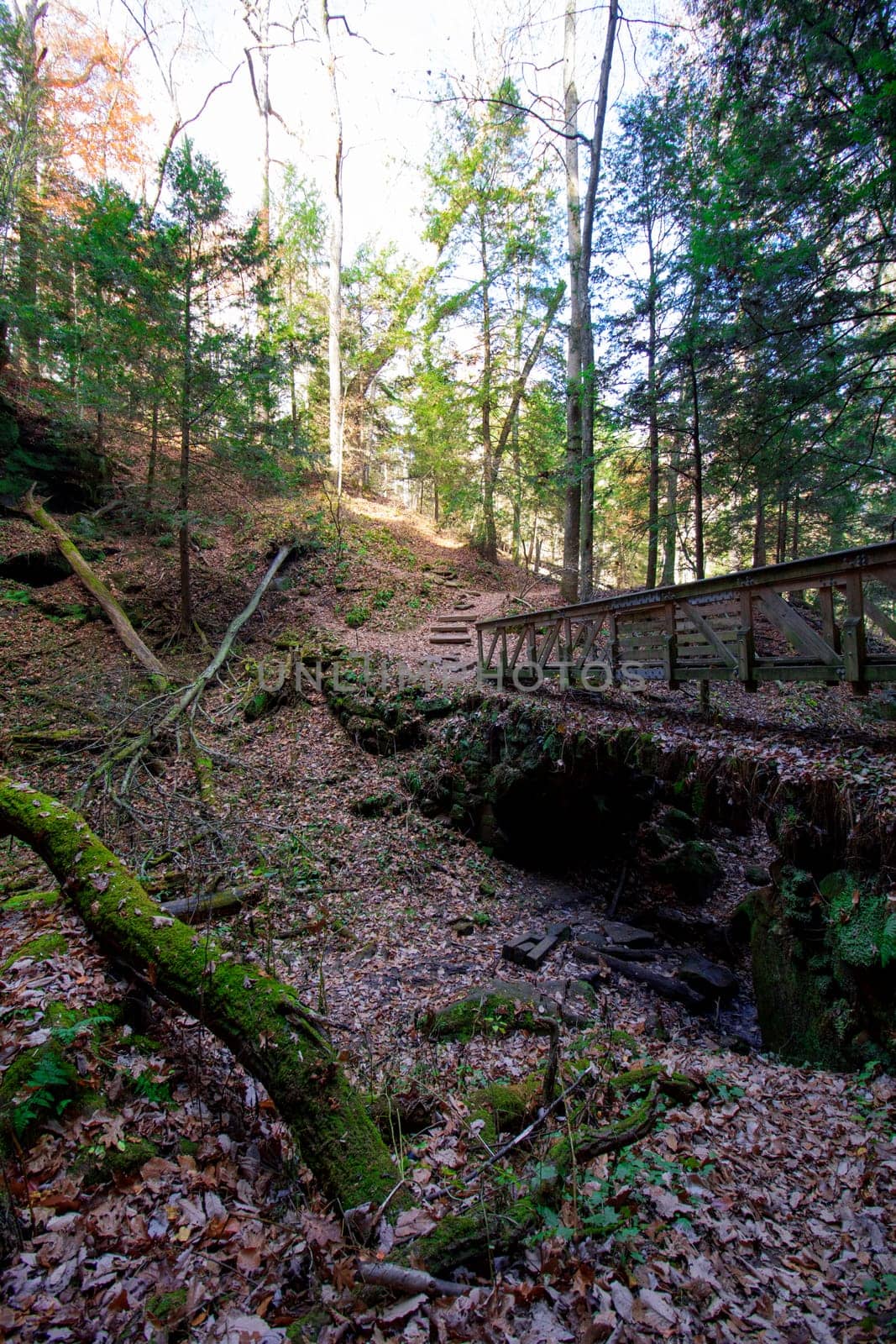 View of Rockhouse, Hocking Hills State Park, Ohio