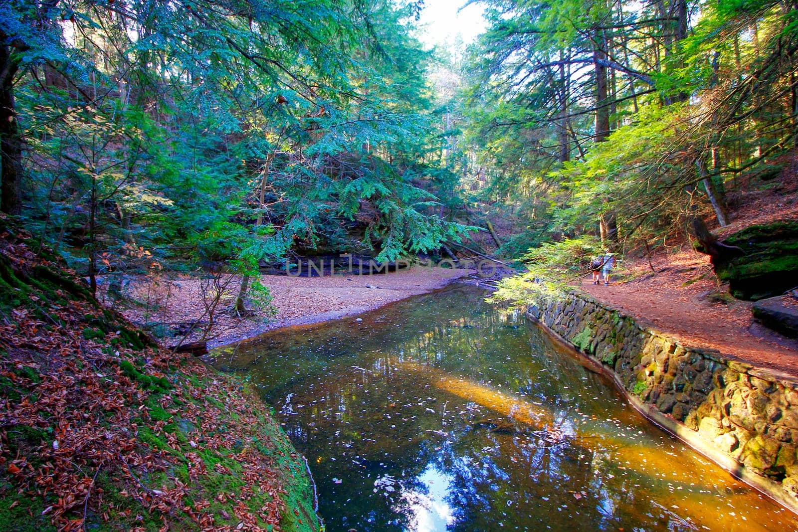 Views at Cedar Falls Unit, Hocking Hills State Park, Ohio