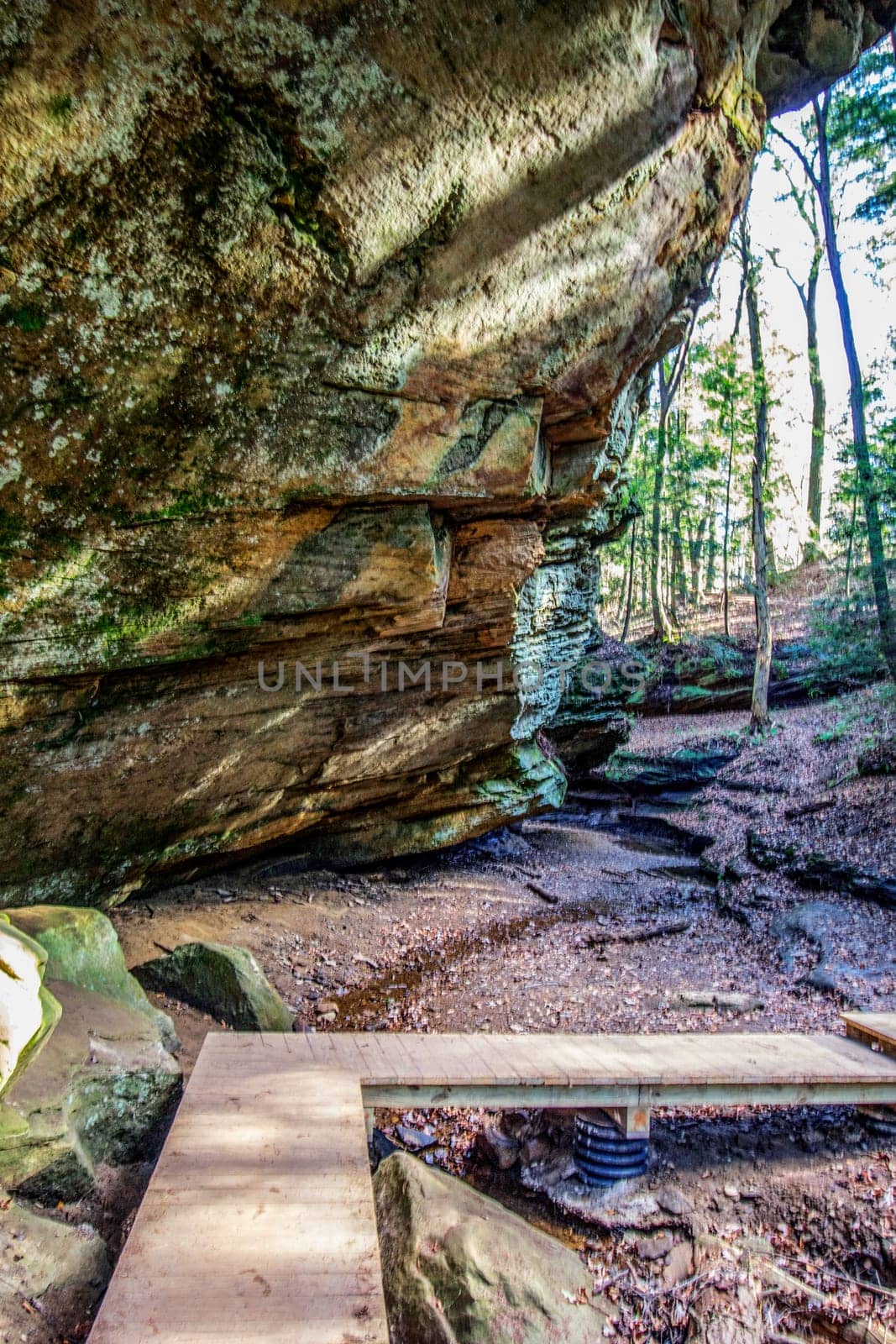 Views at Cedar Falls Unit, Hocking Hills State Park, Ohio