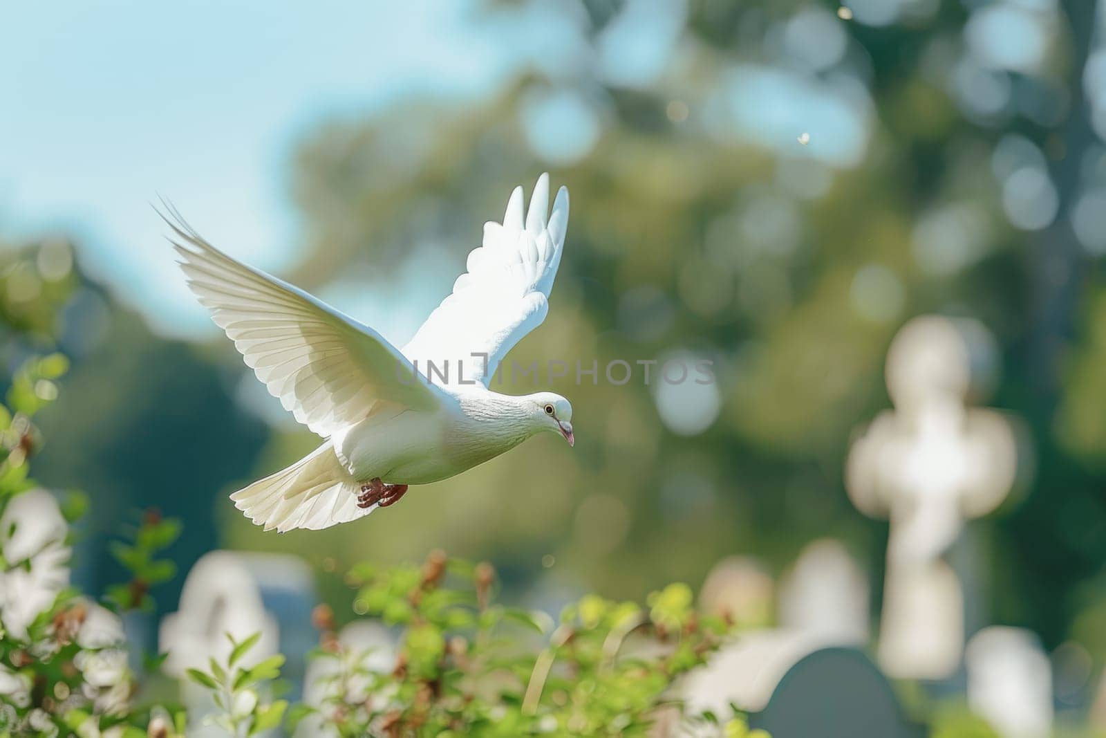 Symbol of Peace and Remembrance Soaring in Blue Sky Above Green Cemetery, Serene Dove of Hope.