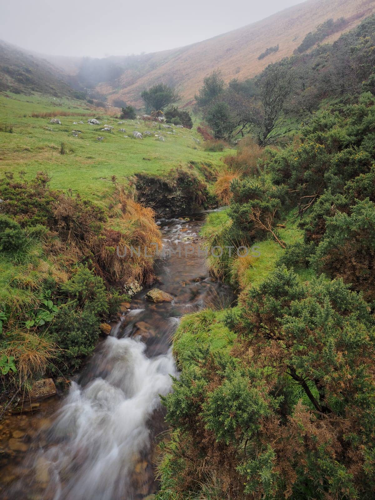 Stream winding its way down a steep gulley into Meldon Reservoir under low cloud, Dartmoor National Park, Devon, UK
