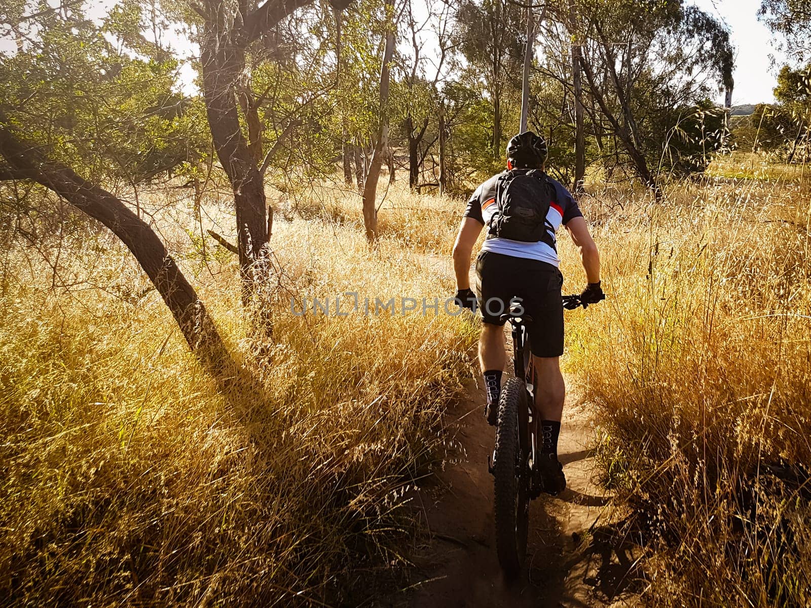 Mountain bike and walking trails along the Yarra River thru Westerfolds Park and Candlebark Park in northern Melbourne in Victoria, Australia