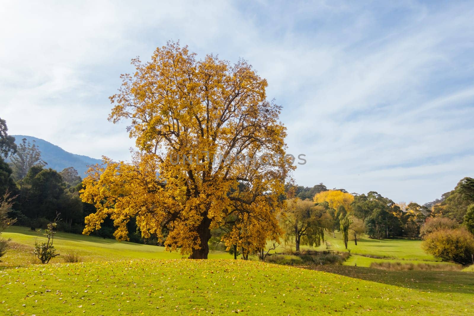 Warburton Golf Club on a cool autumn day in Victoria, Australia