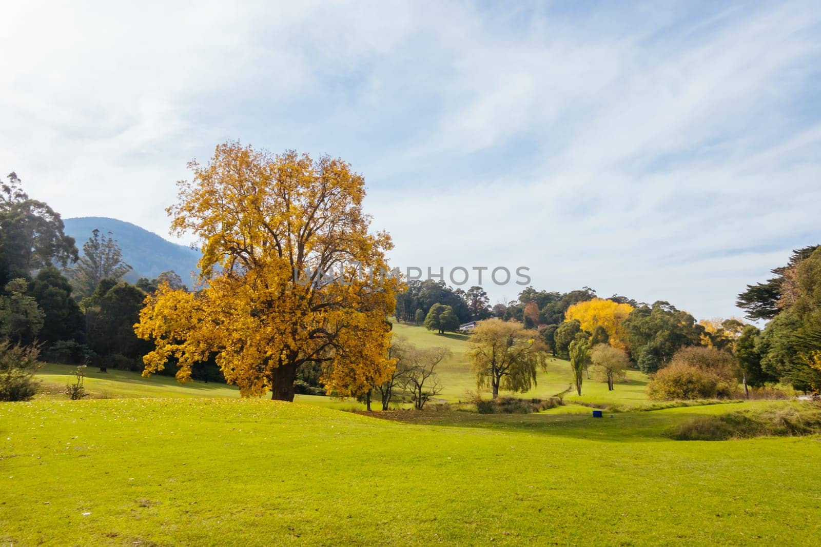 Warburton Golf Club on a cool autumn day in Victoria, Australia