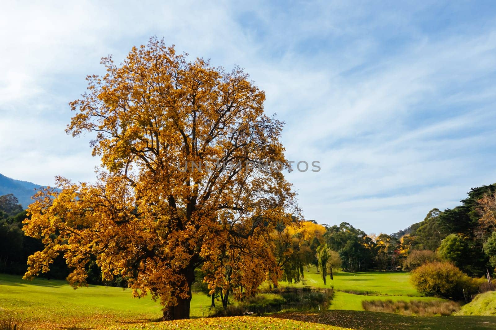 Warburton Golf Club on a cool autumn day in Victoria, Australia