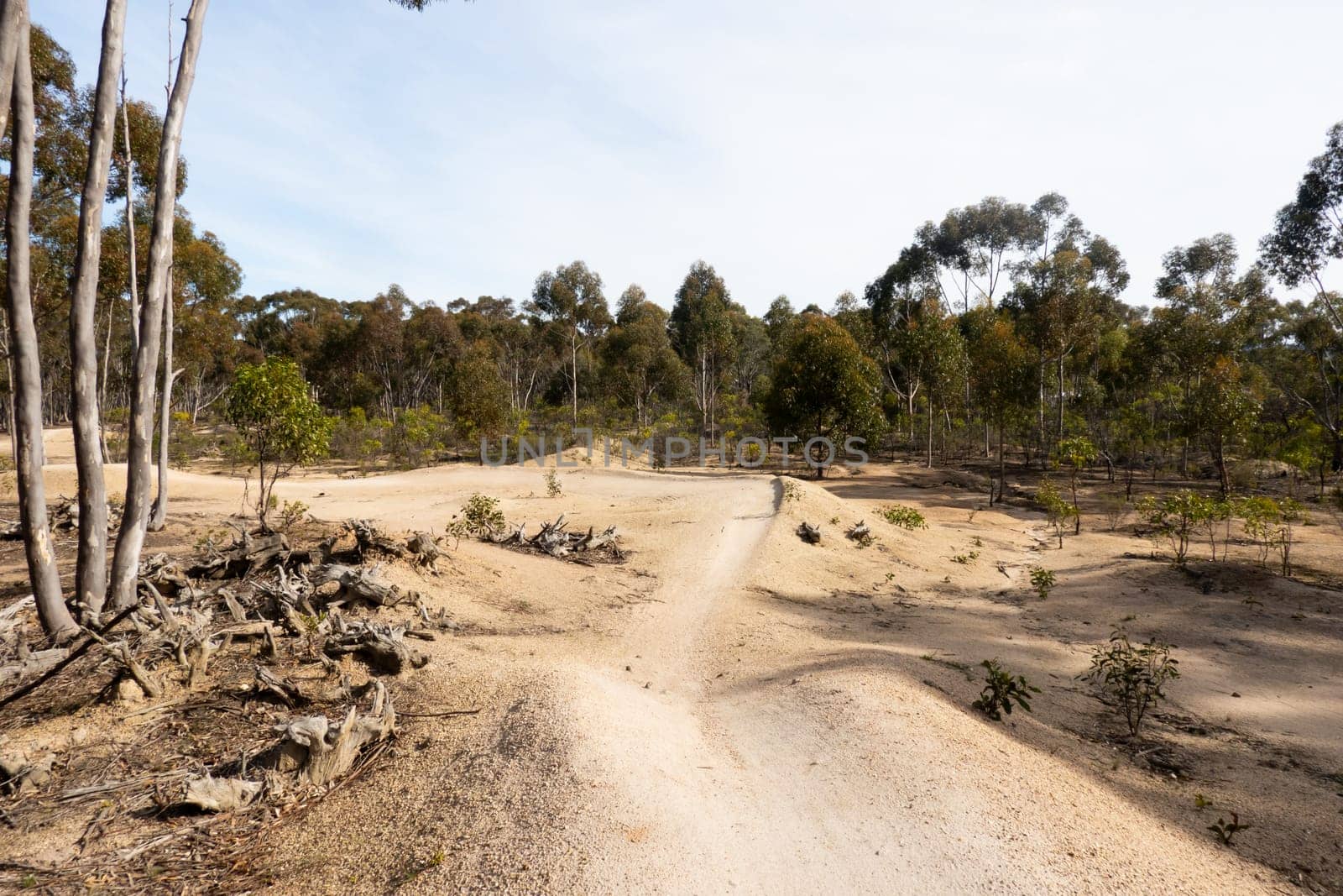 The popular You Yangs mountain bike park and Kurrajong area on a hot autumn day in Little River, Victoria, Australia