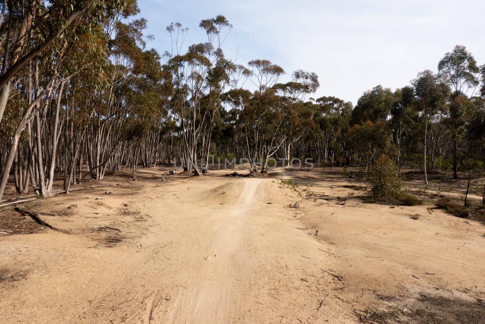 The popular You Yangs mountain bike park and Kurrajong area on a hot autumn day in Little River, Victoria, Australia