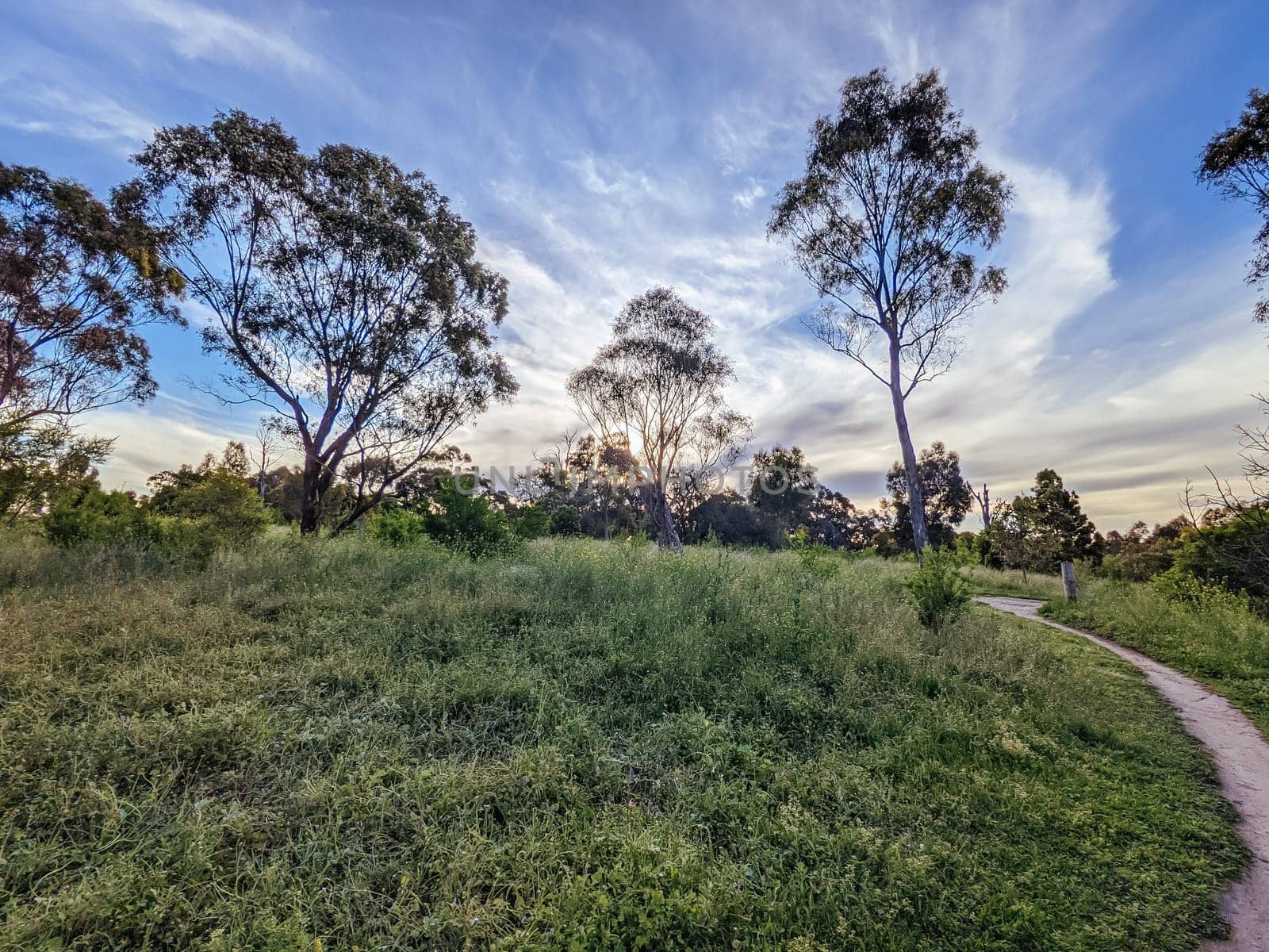 Mountain bike and walking trails along the Yarra River thru Westerfolds Park and Candlebark Park in northern Melbourne in Victoria, Australia