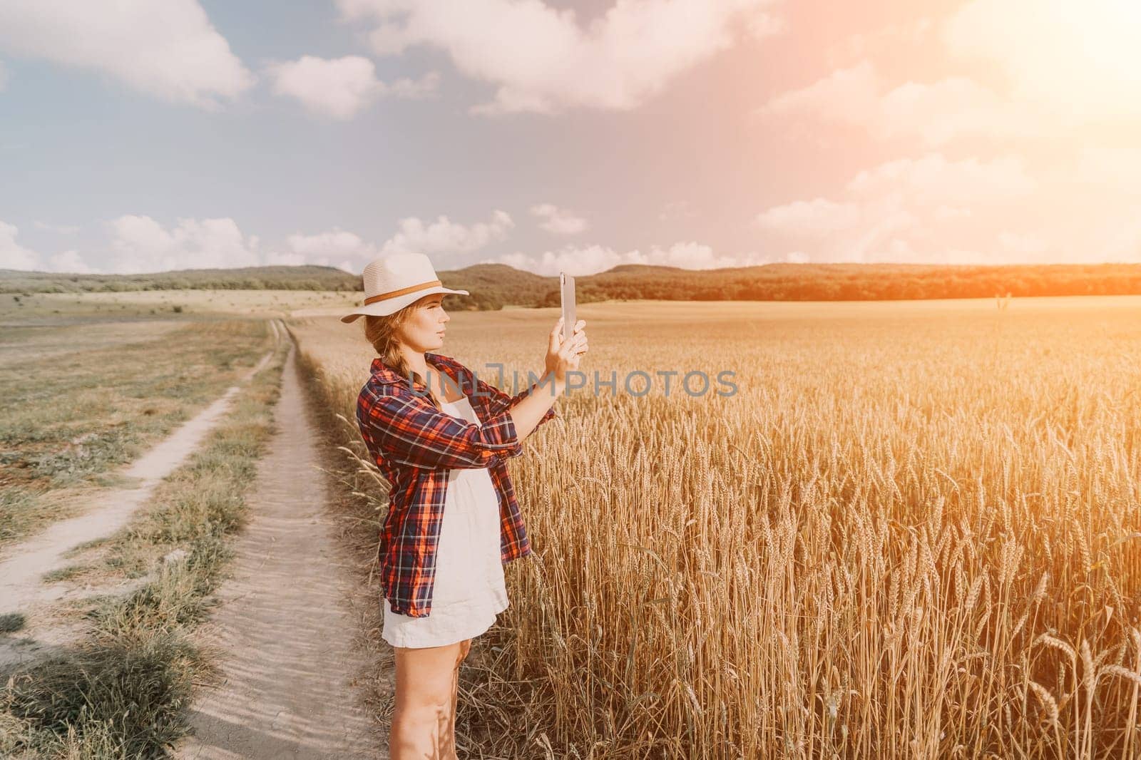 Woman farmer walks through a wheat field at sunset, touching green ears of wheat with his hands. Hand farmer is touching ears of wheat on field in sun, inspecting her harvest. Agricultural business.