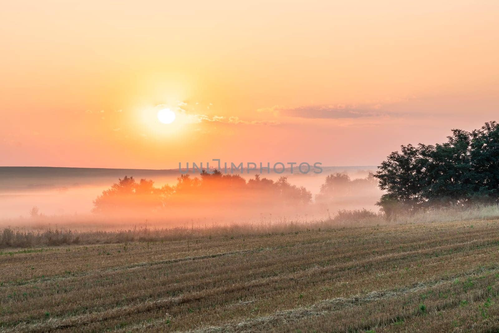 The sun rises over a serene rural area, casting a warm glow across mist-covered fields and silhouetting trees in the distance, creating a peaceful morning atmosphere.