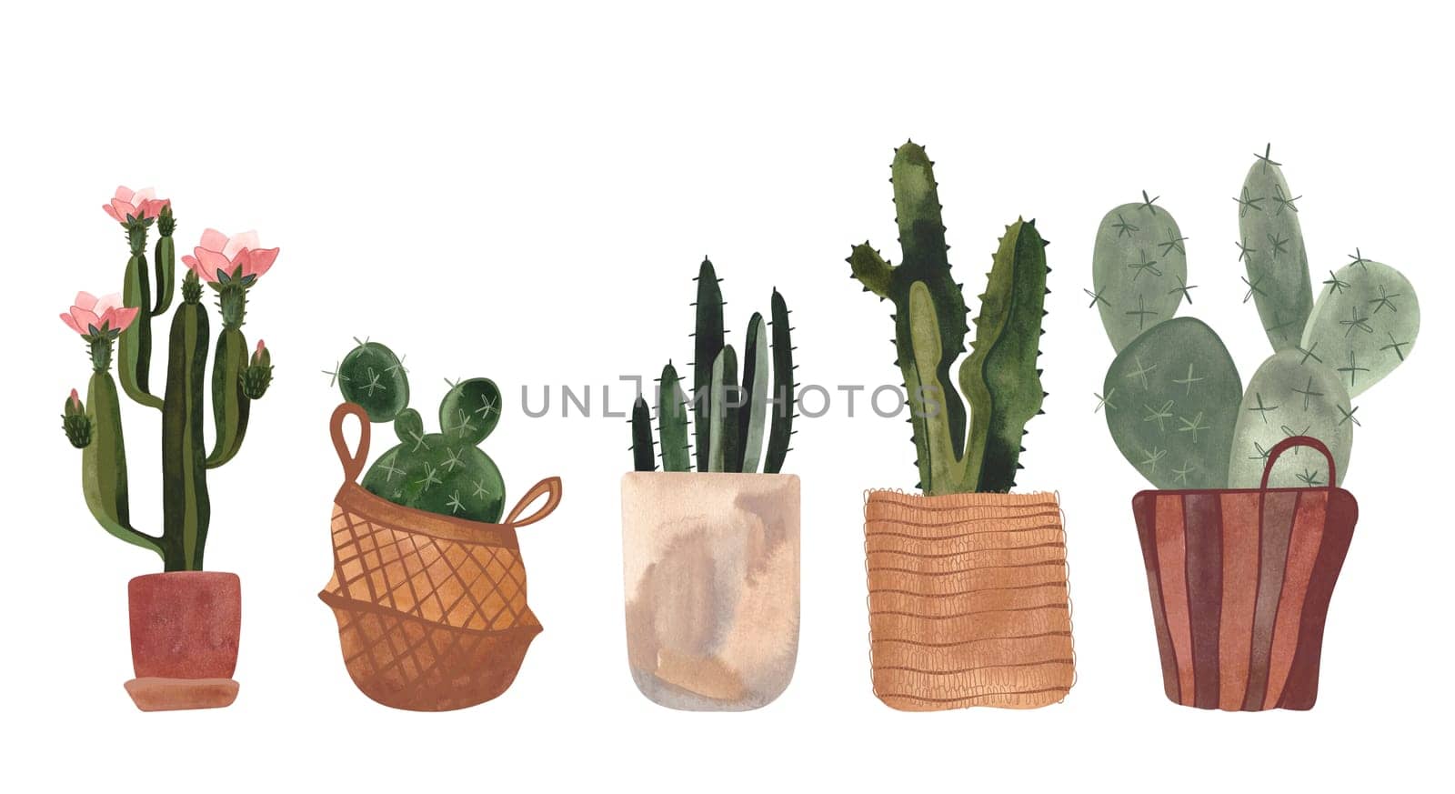 Set of cacti. House plants in baskets and pots. Plant growing as a hobby. Isolated watercolor illustration on white background. Clipart.