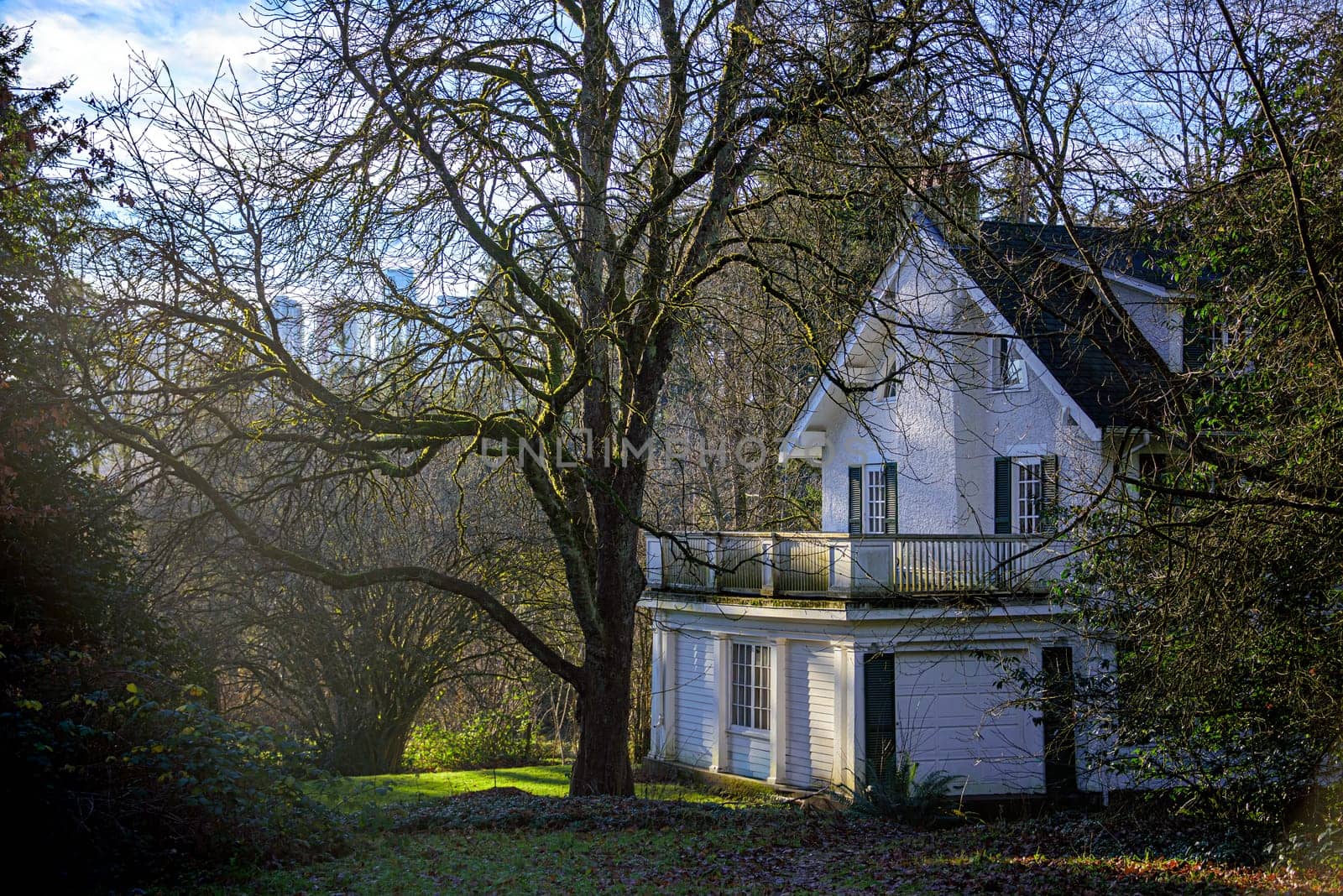 Historic residential house on foggy winter day in Vancouver.