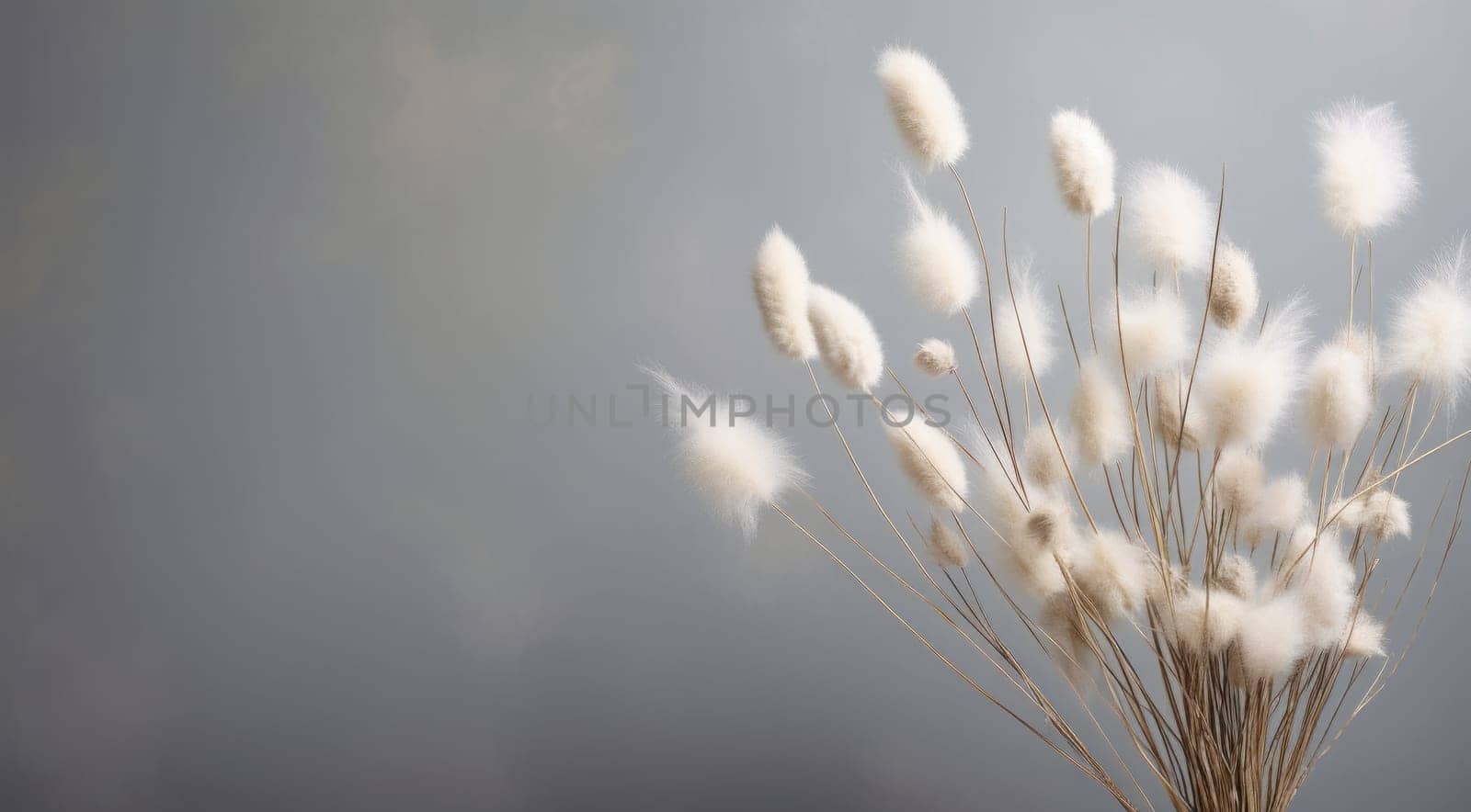 White Blooms in a Delicate Vase.