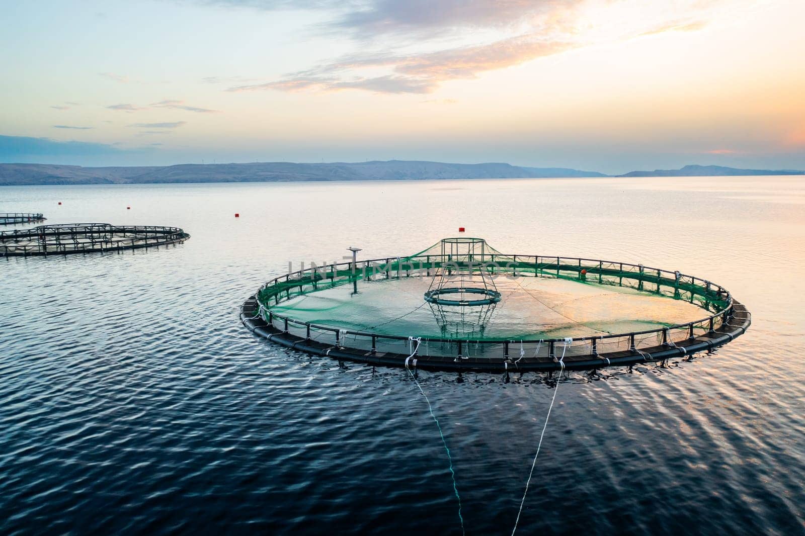 Fish farm at sunrise with circular nets in calm waters and distant mountains in the background.