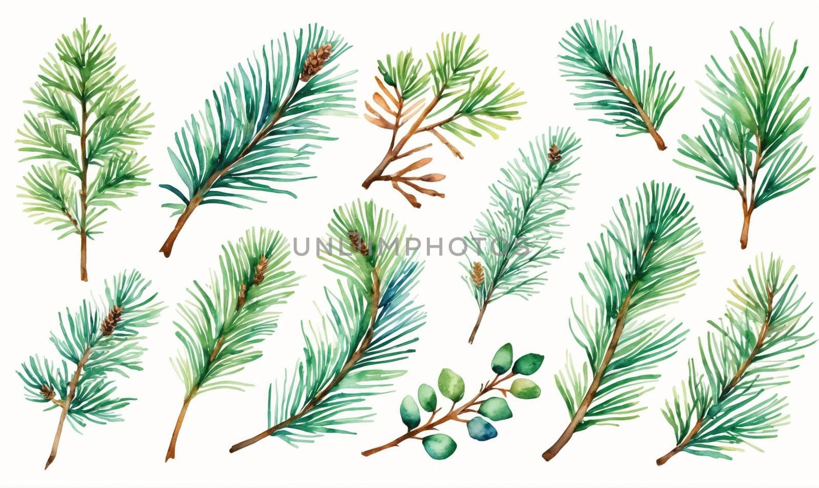 A watercolor painting depicts various pine tree branches with green needles and brown stems on a white background.