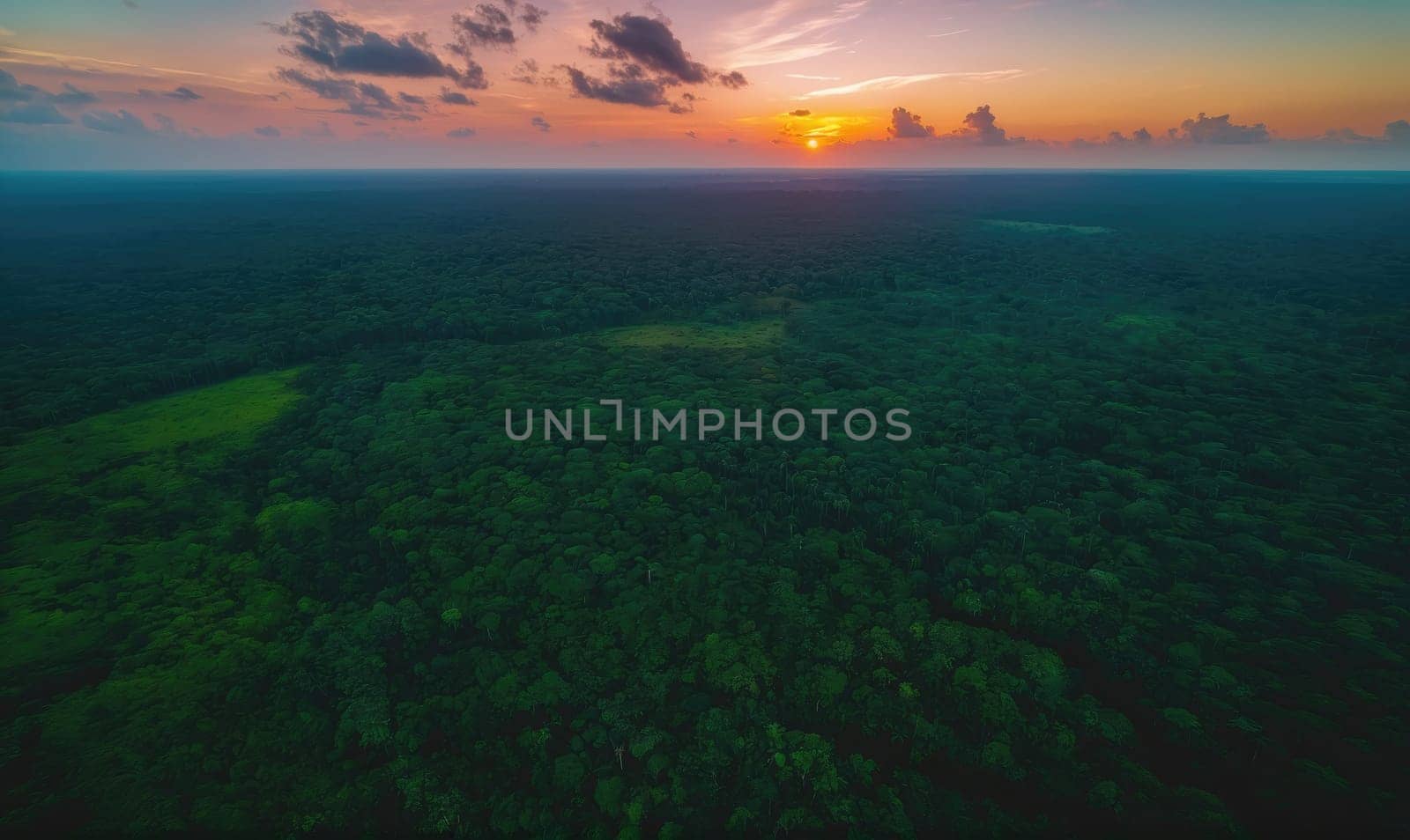 A breathtaking aerial photograph capturing the vast expanse of a forest at sunset. The setting sun, partially obscured by clouds, bathes the dense green foliage in a warm, golden light