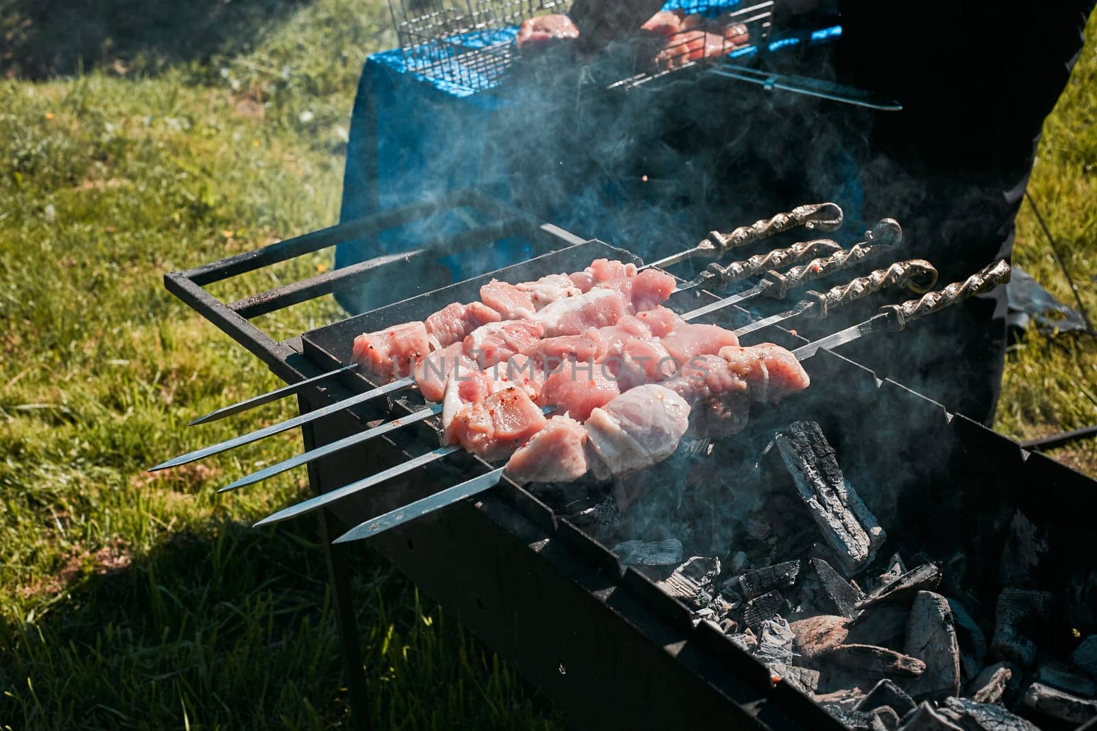 juicy pork meat on skewers is grilled on the grill. cooking on fire. rest. vacation.