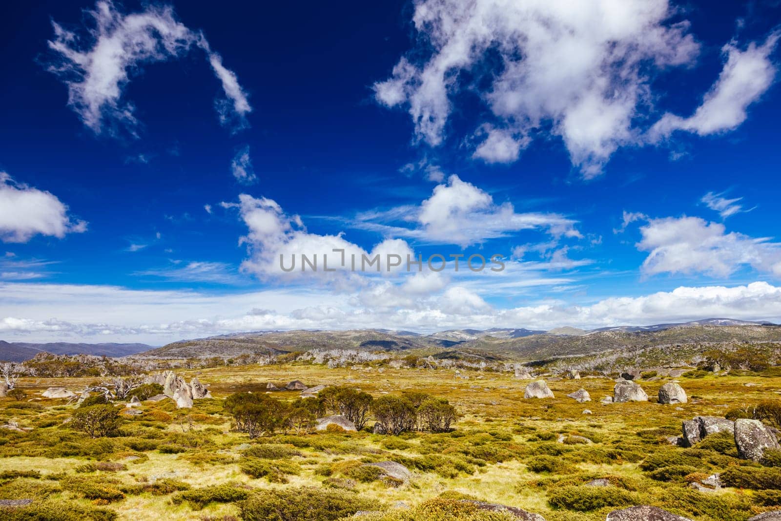 Landscape views along the Porcupine Walking Track on a summer's day in Kosciuszko National Park, Snowy Mountains, New South Wales, Australia