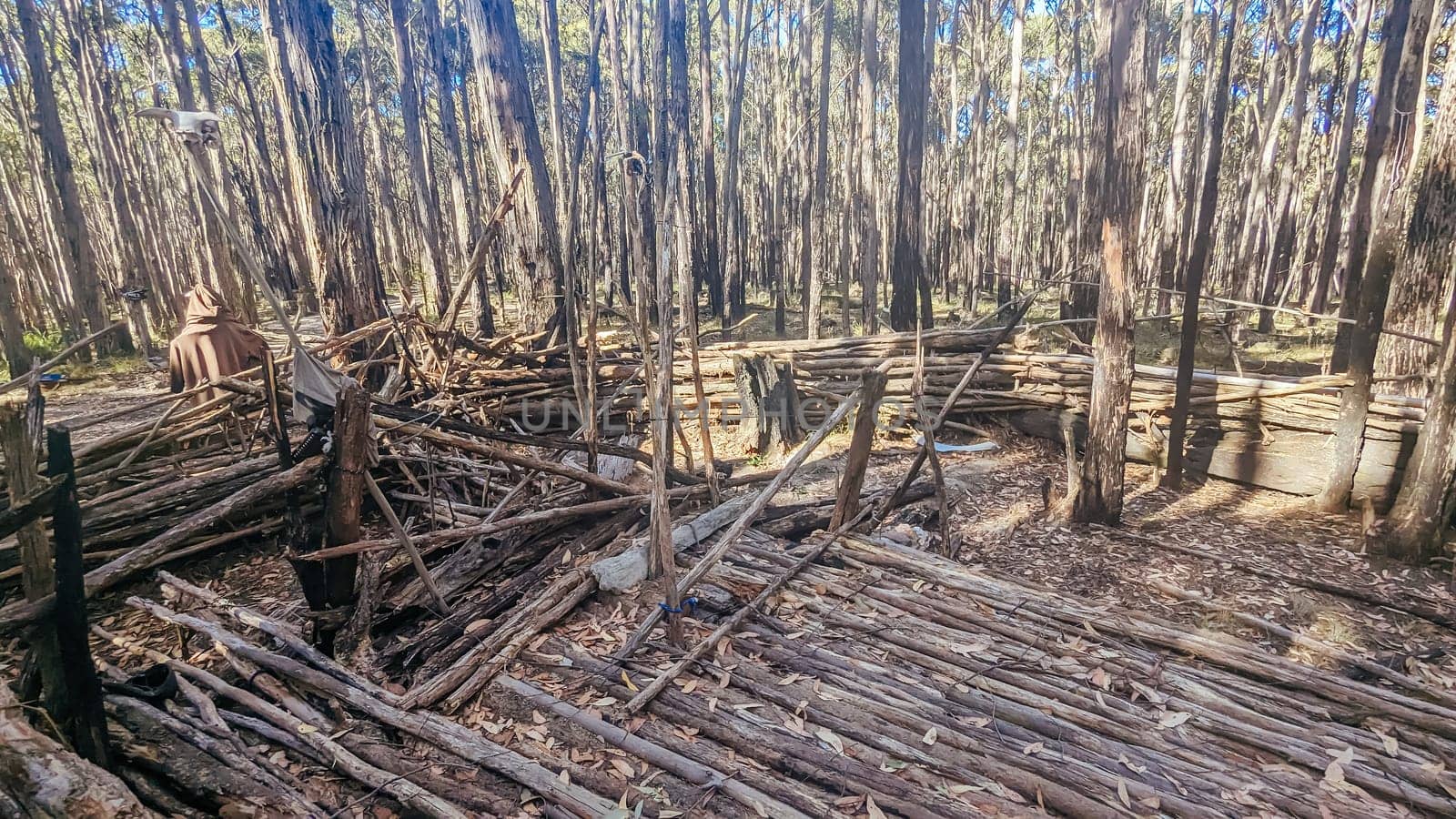 A bush camp setup in Wombat State Forest near Macedon, Victoria, Australia