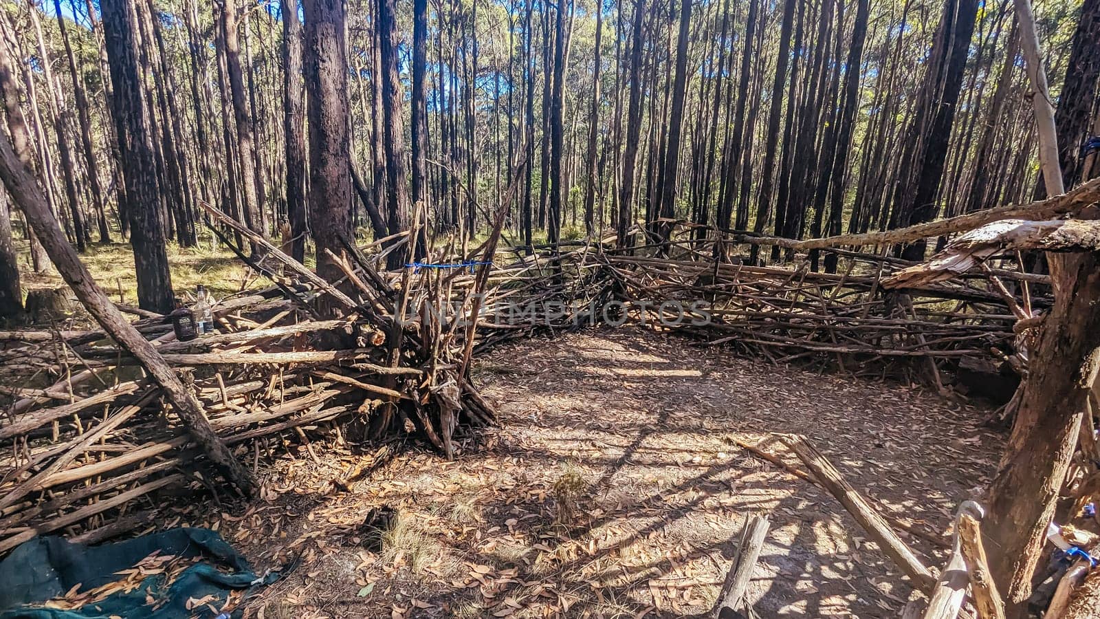 A bush camp setup in Wombat State Forest near Macedon, Victoria, Australia