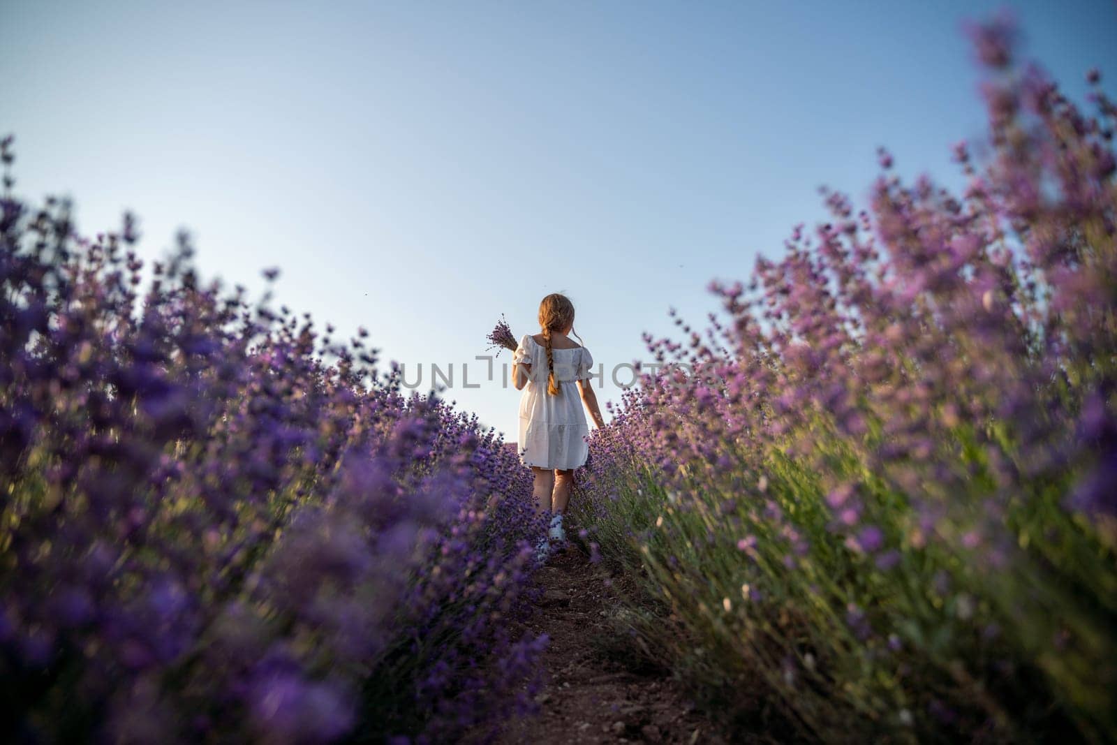 Lavender field girl. Back view happy girl in white dress with a scythe runs through a lilac field of lavender. Aromatherapy travel.