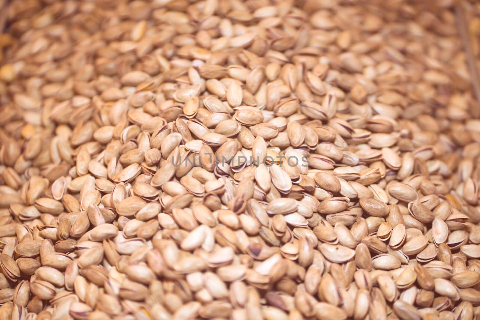 Pistachios in the shell, a lot of useful nuts lie and are prepared for eating, for creating a product.