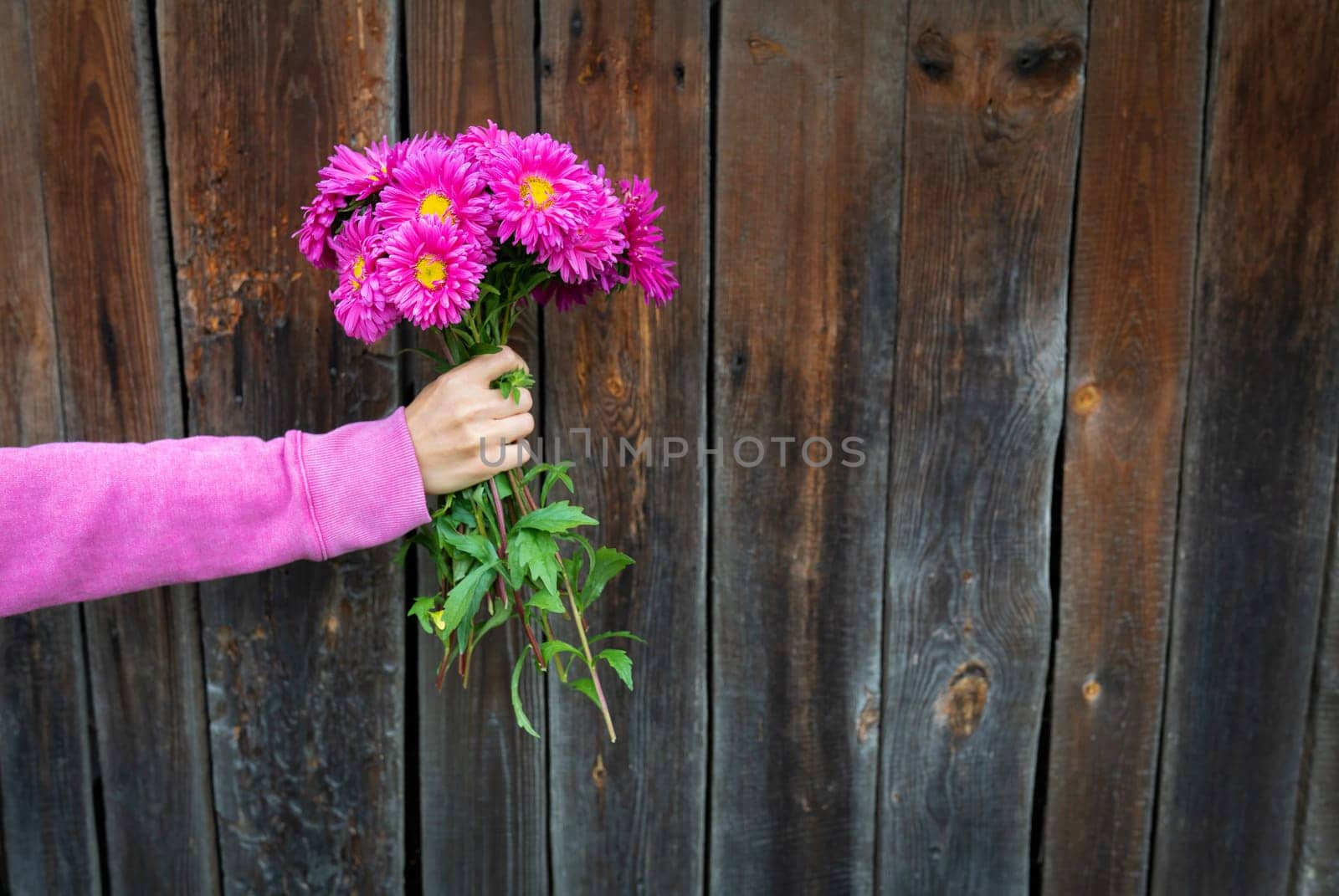 A woman in a pink sweater holds a beautiful pink bouquet of flowers in her hands against the background of a wooden wall. Place for an inscription