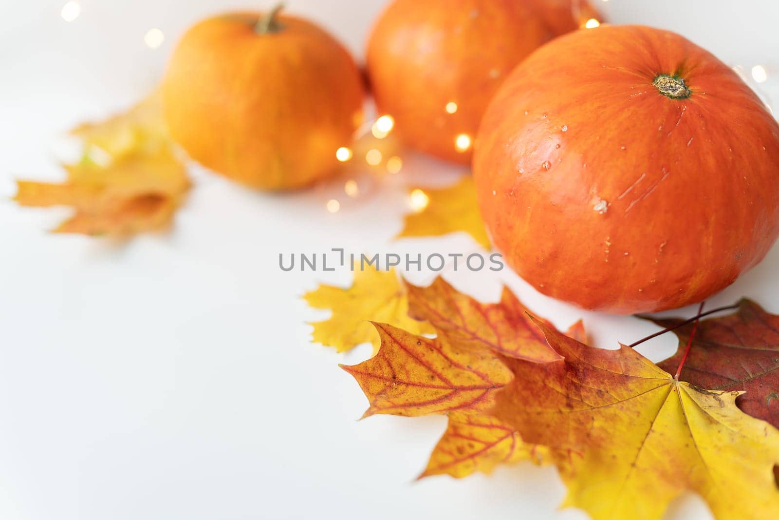 Autumn leaves with pumpkin border at the bottom, beautiful autumn background. Flashing lights on the background, beautiful bokeh