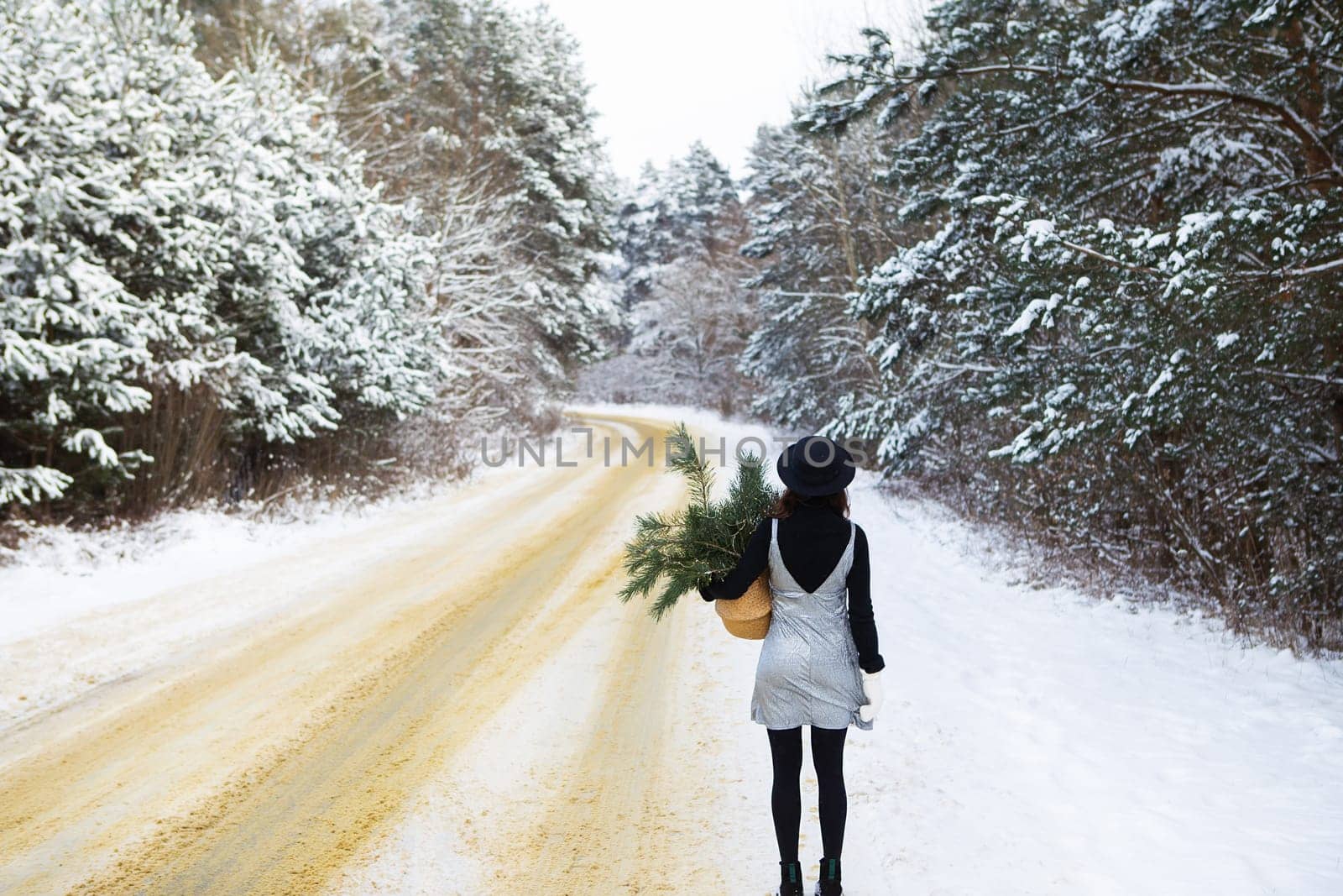 A girl in a dress and hat stands with her back in the middle of a winter road in the forest. by sfinks