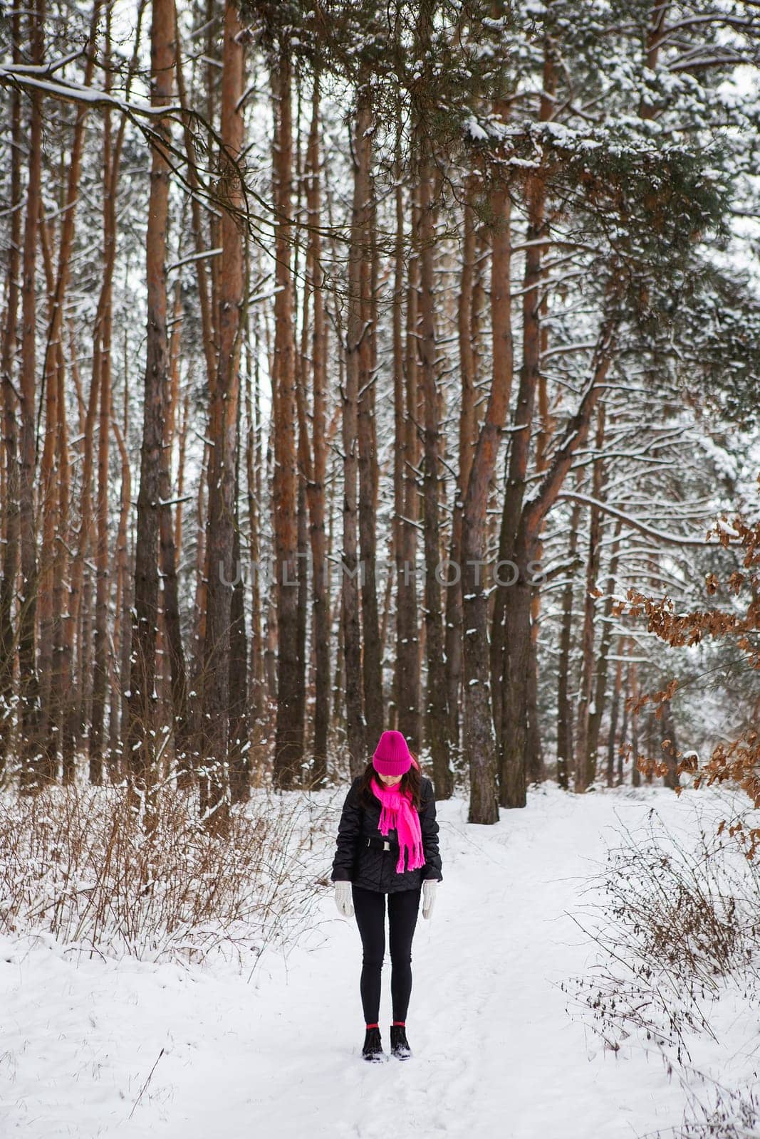 A girl in a pink scarf and hat stands in the middle of a pine forest. Beautiful pine forest on a frosty day. by sfinks