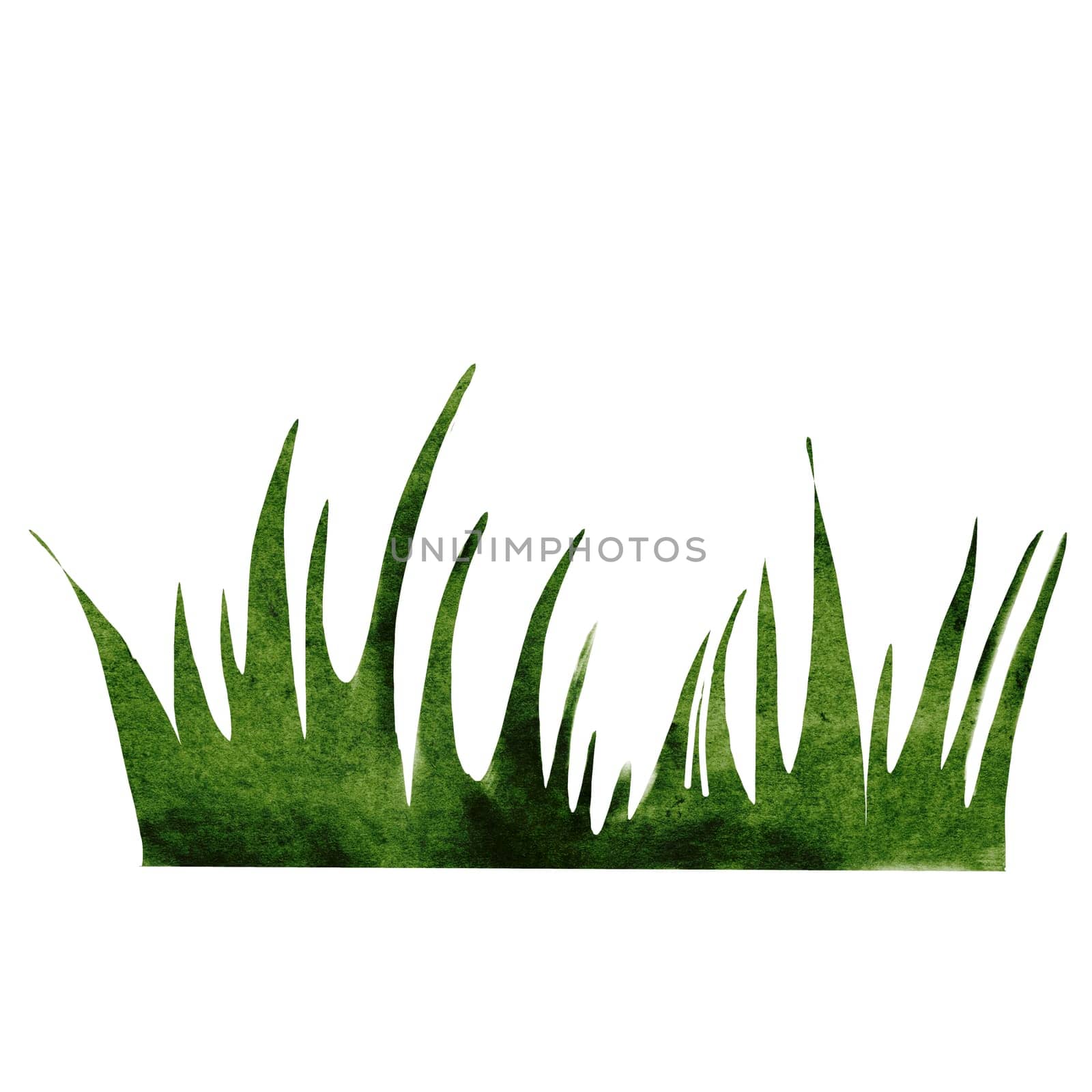 Grass simple watercolor. Hand drawing green vegetation on isolated white background. Clip art lawn for banners and postcards design. High quality illustration