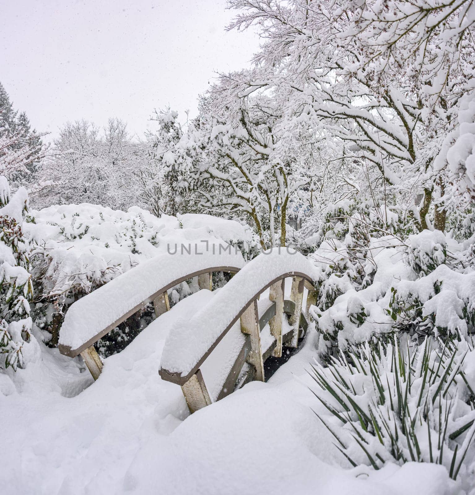 Wooden brook bridge in a park under snow fall on winter season in Vancouver.