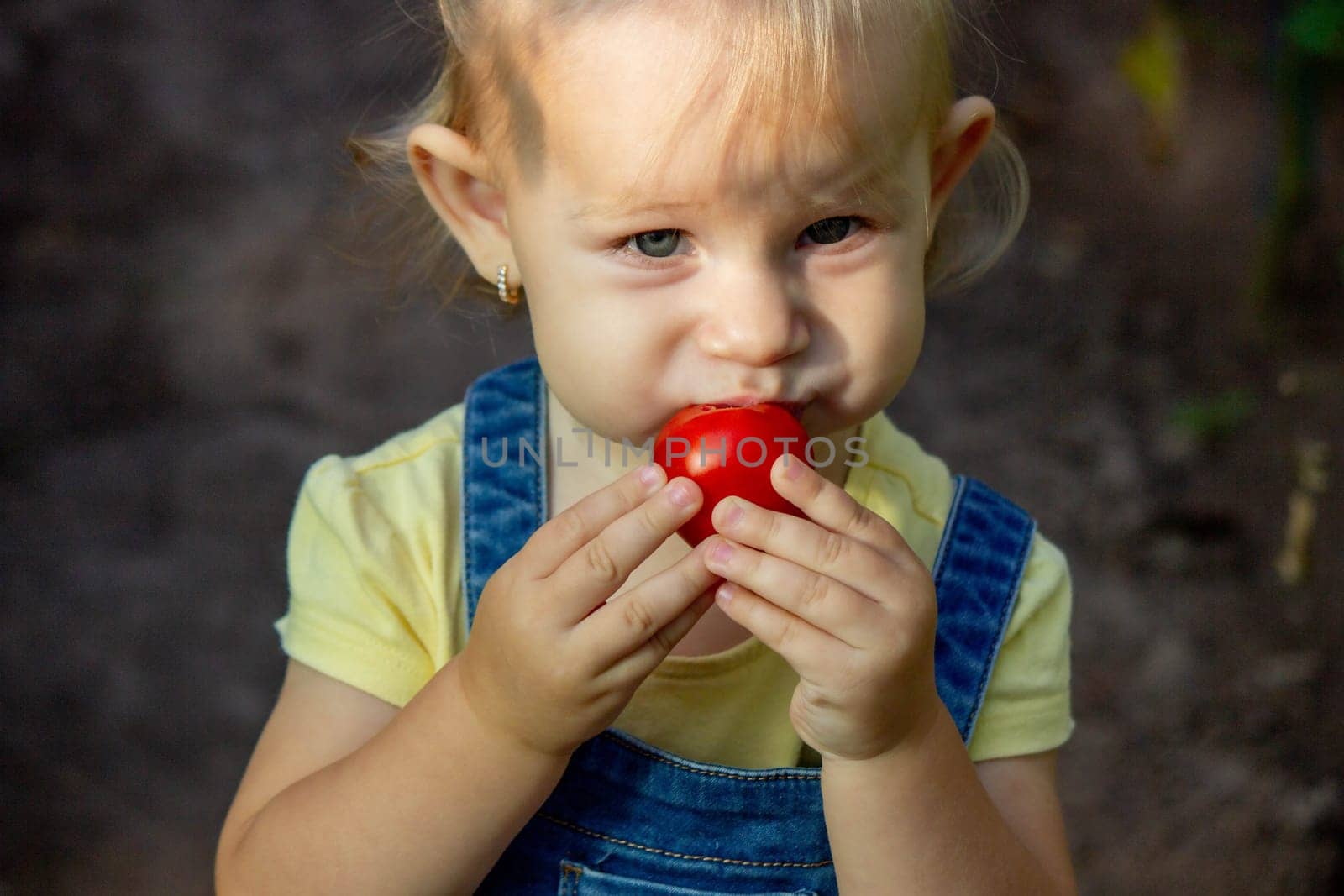 little girl collects tomatoes in a greenhouse. Selective focus.