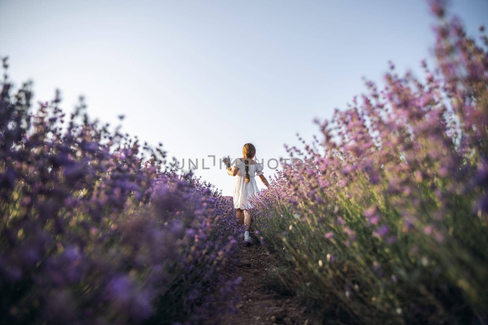 Lavender field girl. Back view happy girl in white dress with a scythe runs through a lilac field of lavender. Aromatherapy travel.