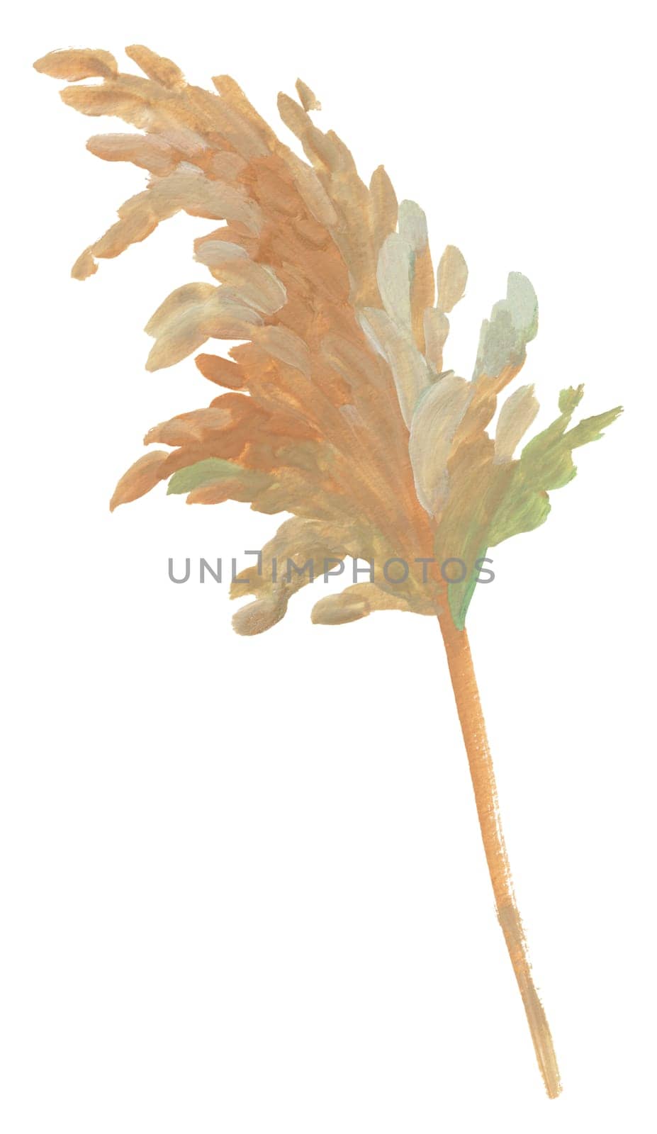 palm leaf painted in gouache with a dry brush isolated on a white background for the design of summer fabrics and other