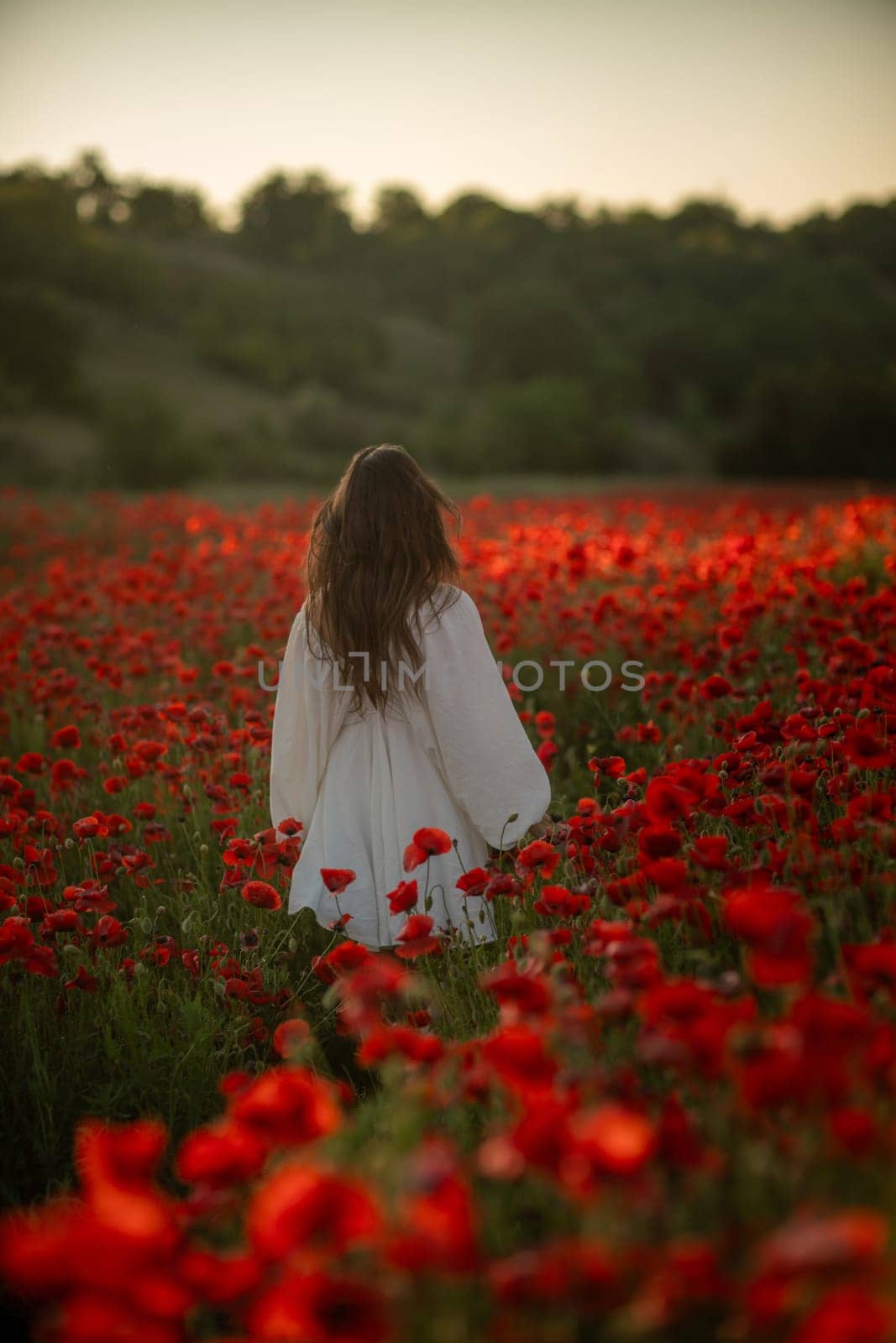 A woman in a white dress walks through a field of red poppies, the setting sun casting a warm glow on the scene.