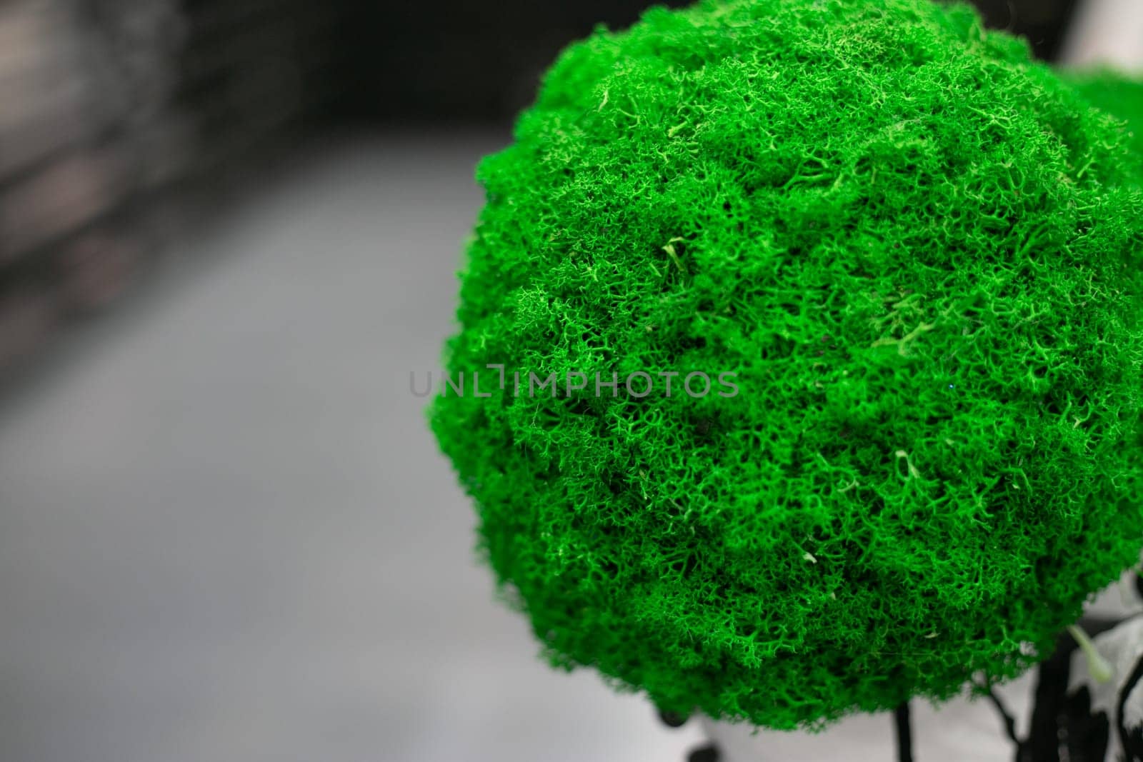 A large green ball of moss. An ornamental plant. Flowers in the interior.