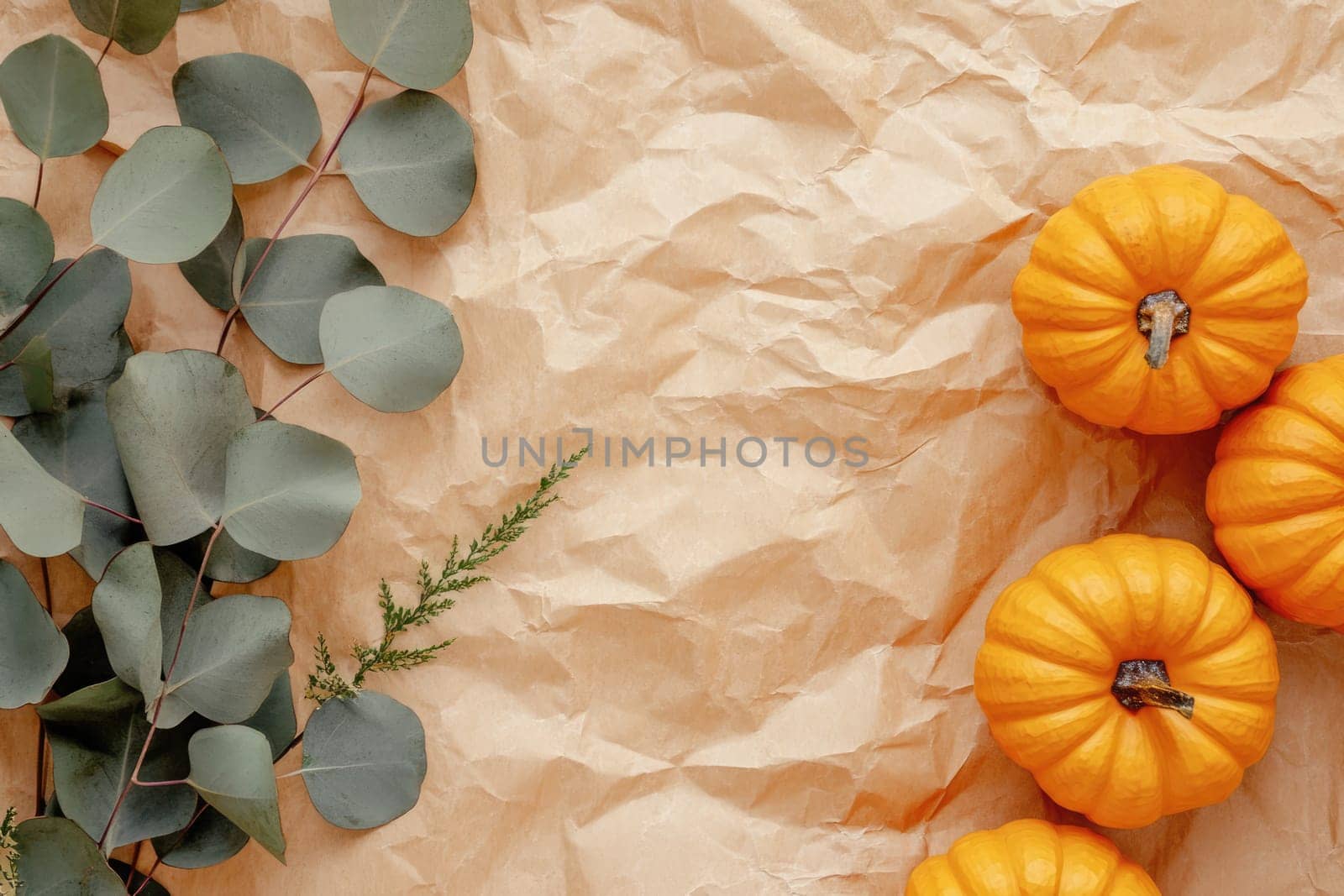 A beautiful arrangement showcases various pumpkins, cotton bolls, pinecones, and eucalyptus leaves framed on a soft background, reflecting the essence of autumn.