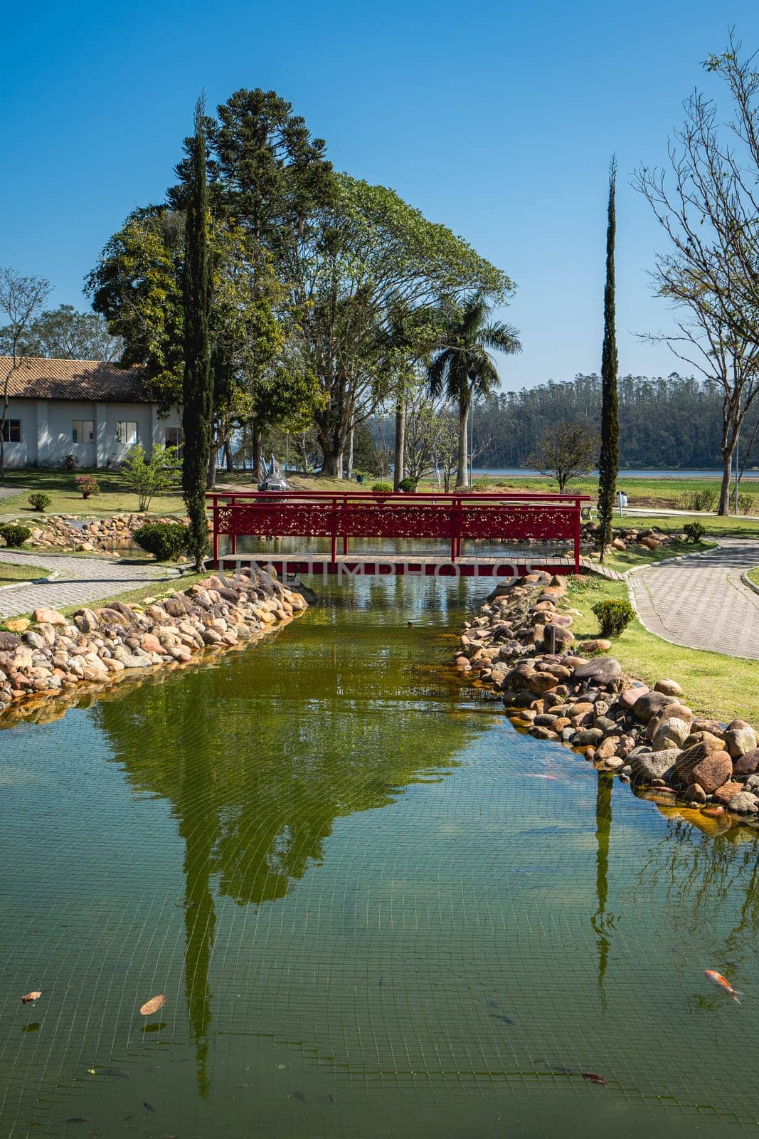 Ribeirão Pires, SP Brazil. August 29, 2024.
Beautiful Bridge and pond in the Oriental  Park. Milton Marinho De Moraes.