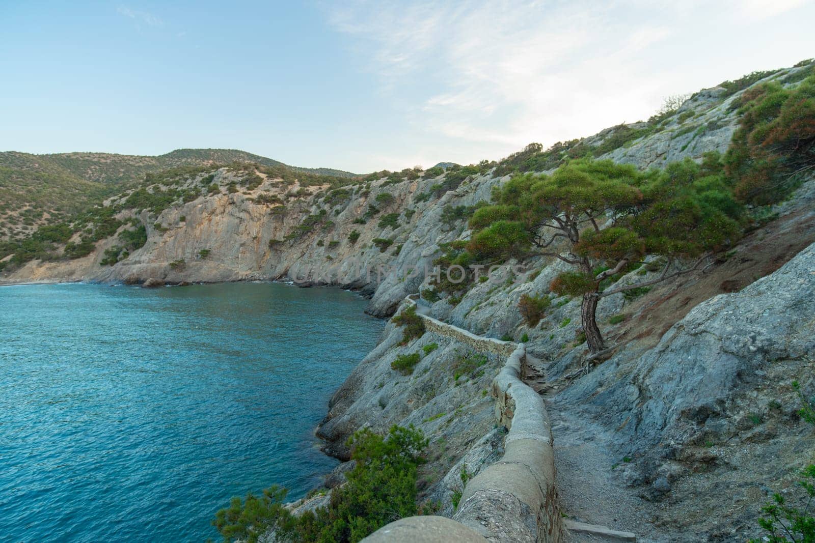 A rocky shoreline with a small tree growing on it. The water is calm and blue. The scene is peaceful and serene